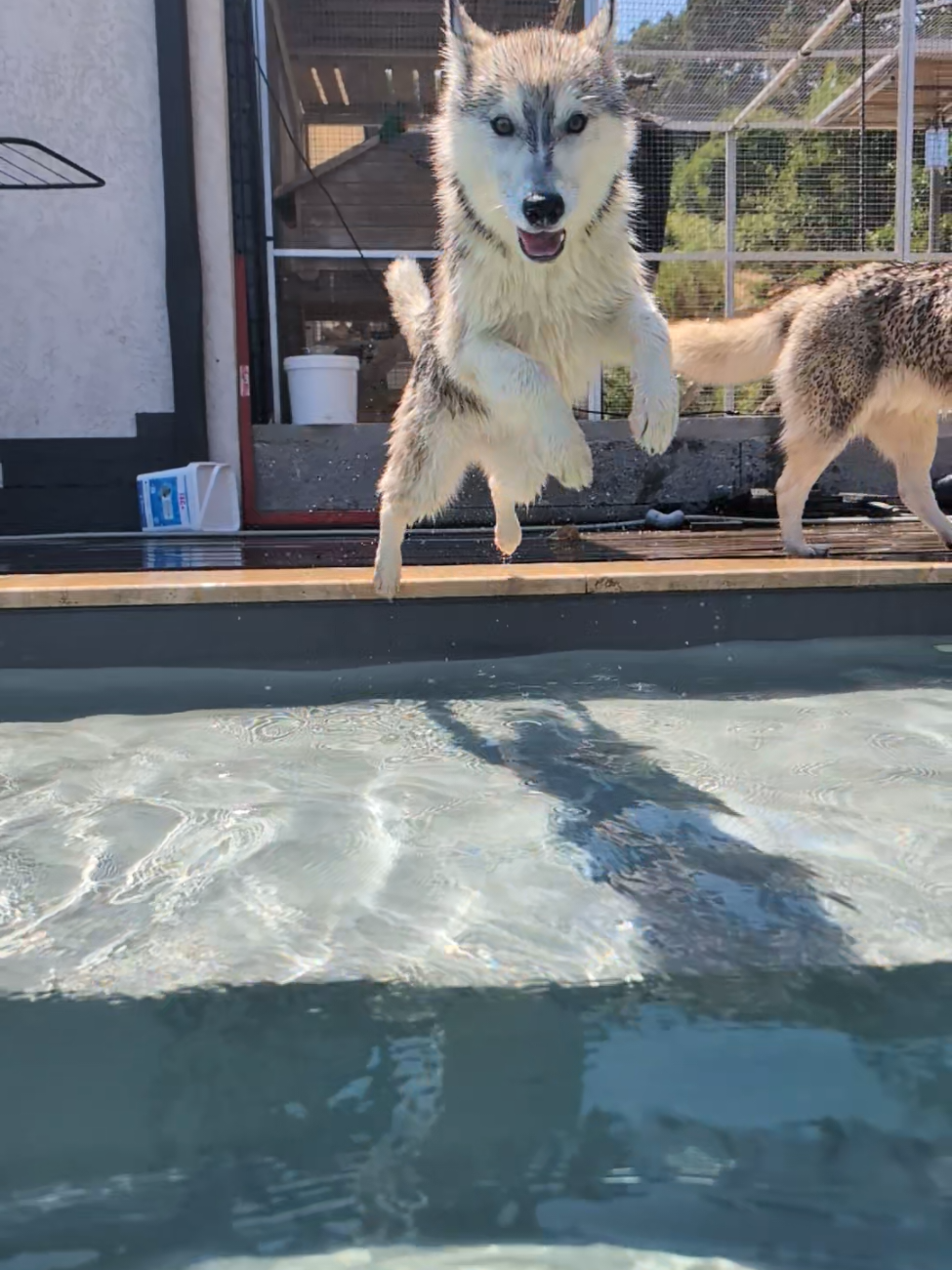 @🐺 𝕱𝖊𝖓𝖗𝖎𝖗 2𝖇 🐺