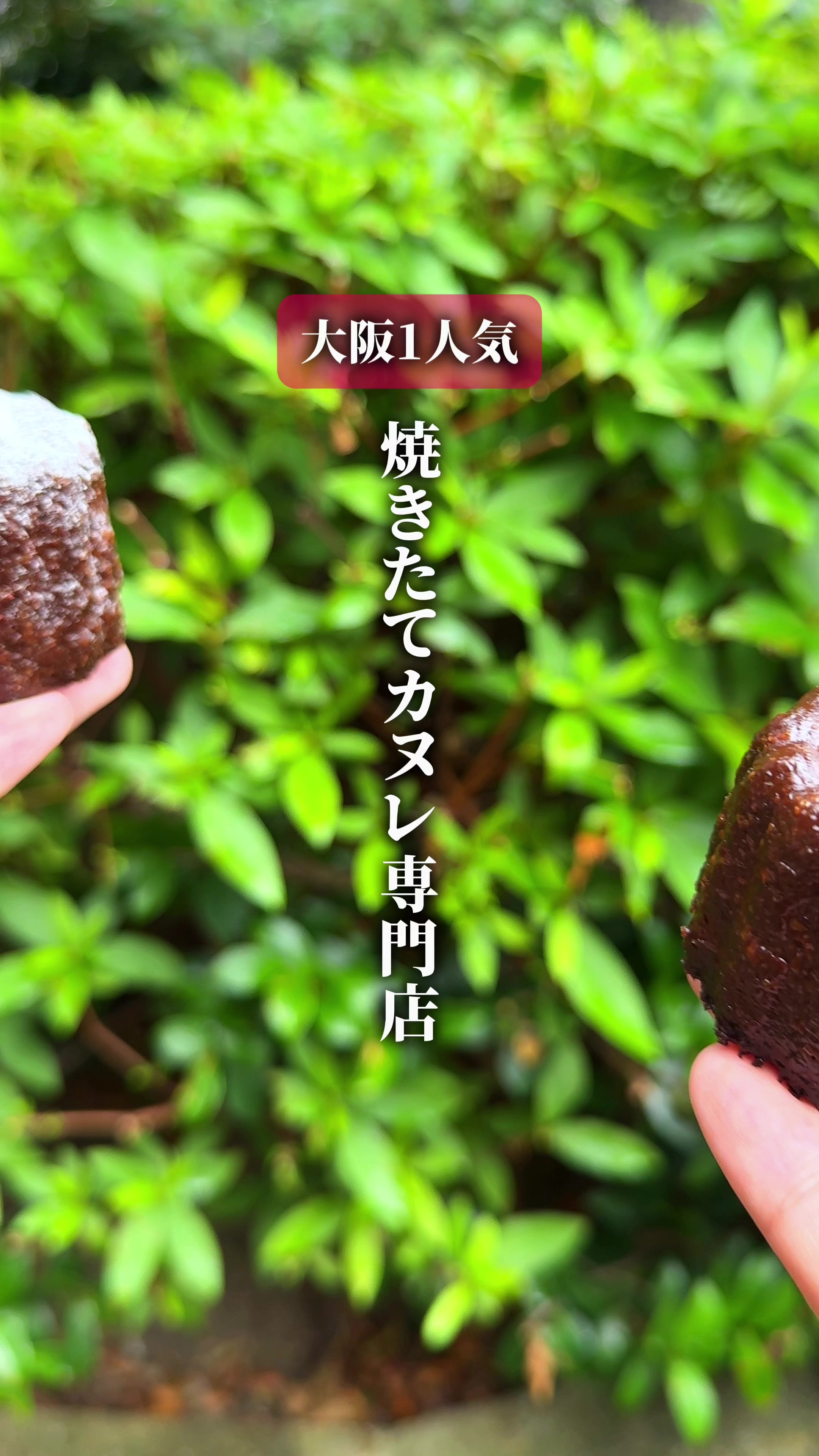 @ひろと / 大阪発!関西トレンド独占旅🔥