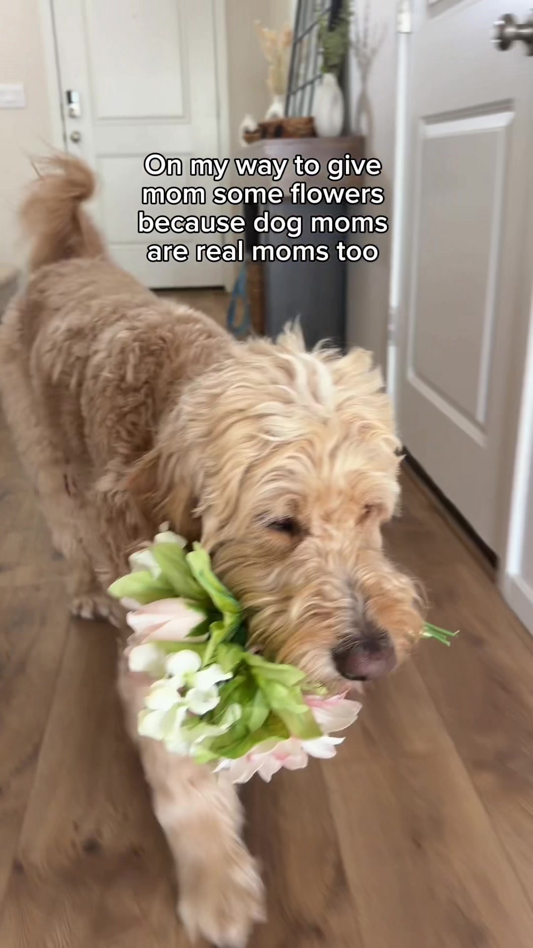 @Me, my Doods and I