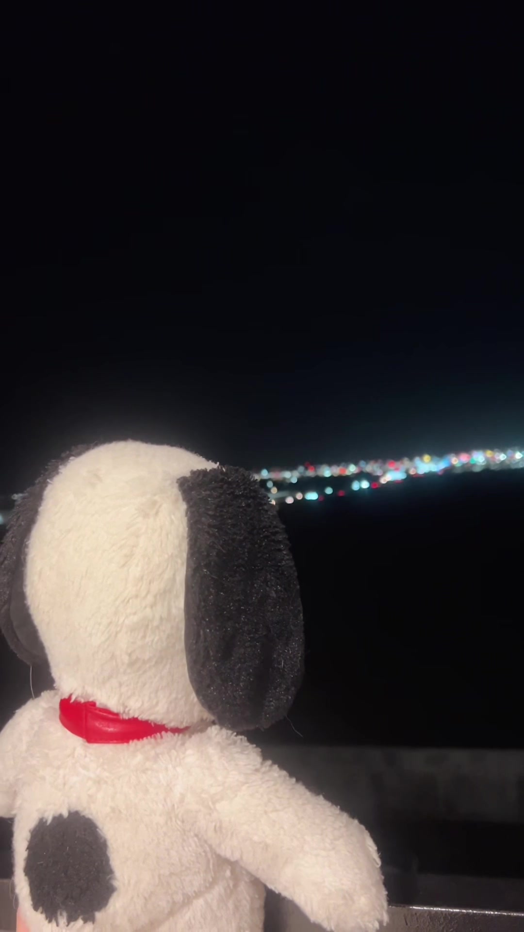 @snoopy