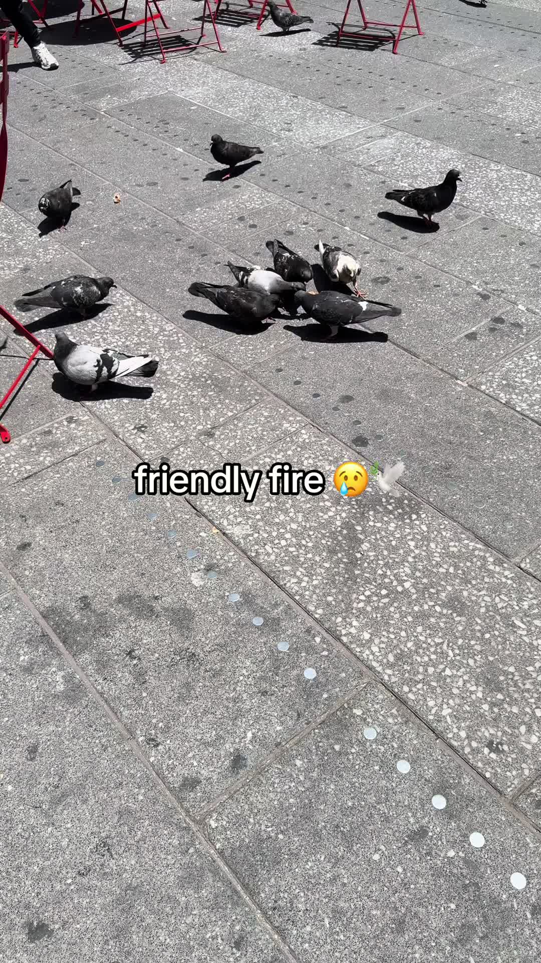 @LV8R NYC