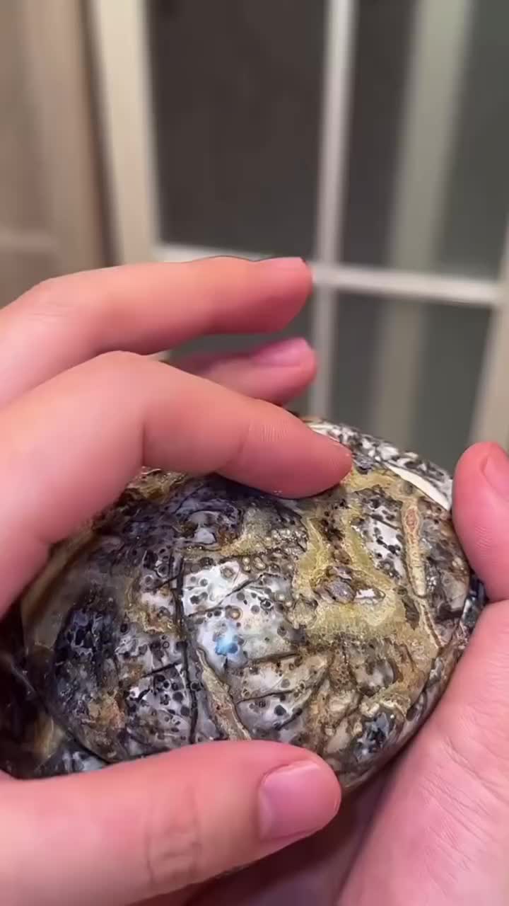 @motivational._.speech5