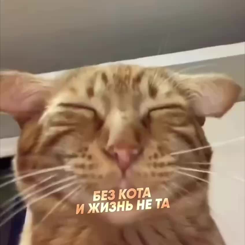 @новости без фильтров