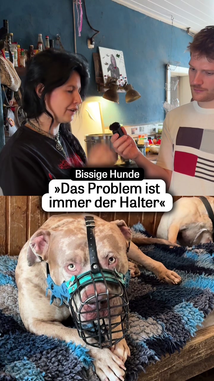 @DIE ZEIT