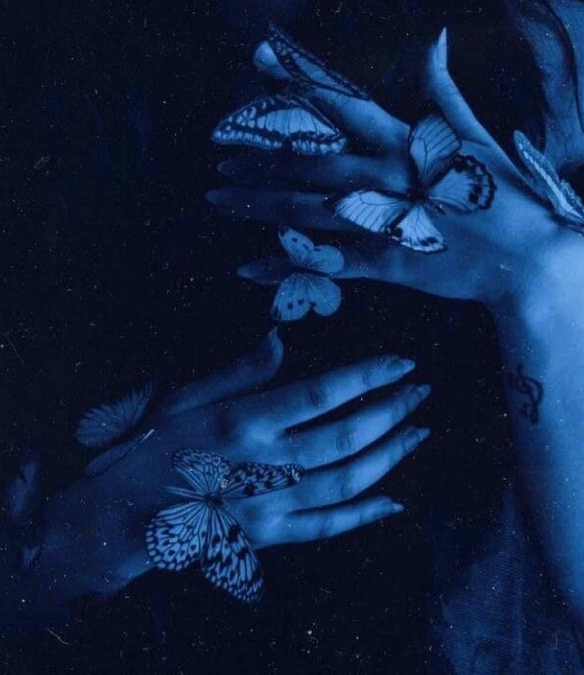 @🖤💙bellav0id💛🖤