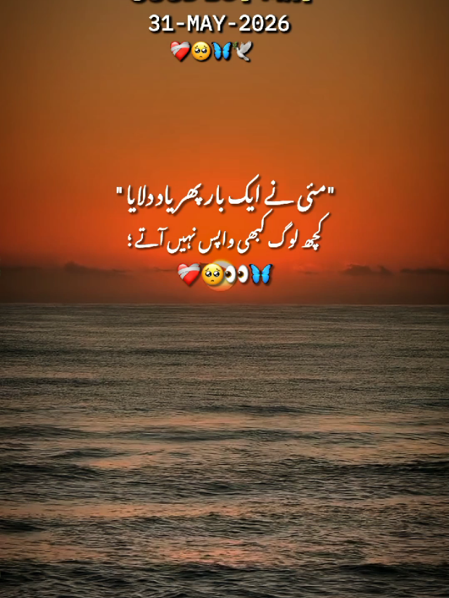@Arooj 🦋🌼