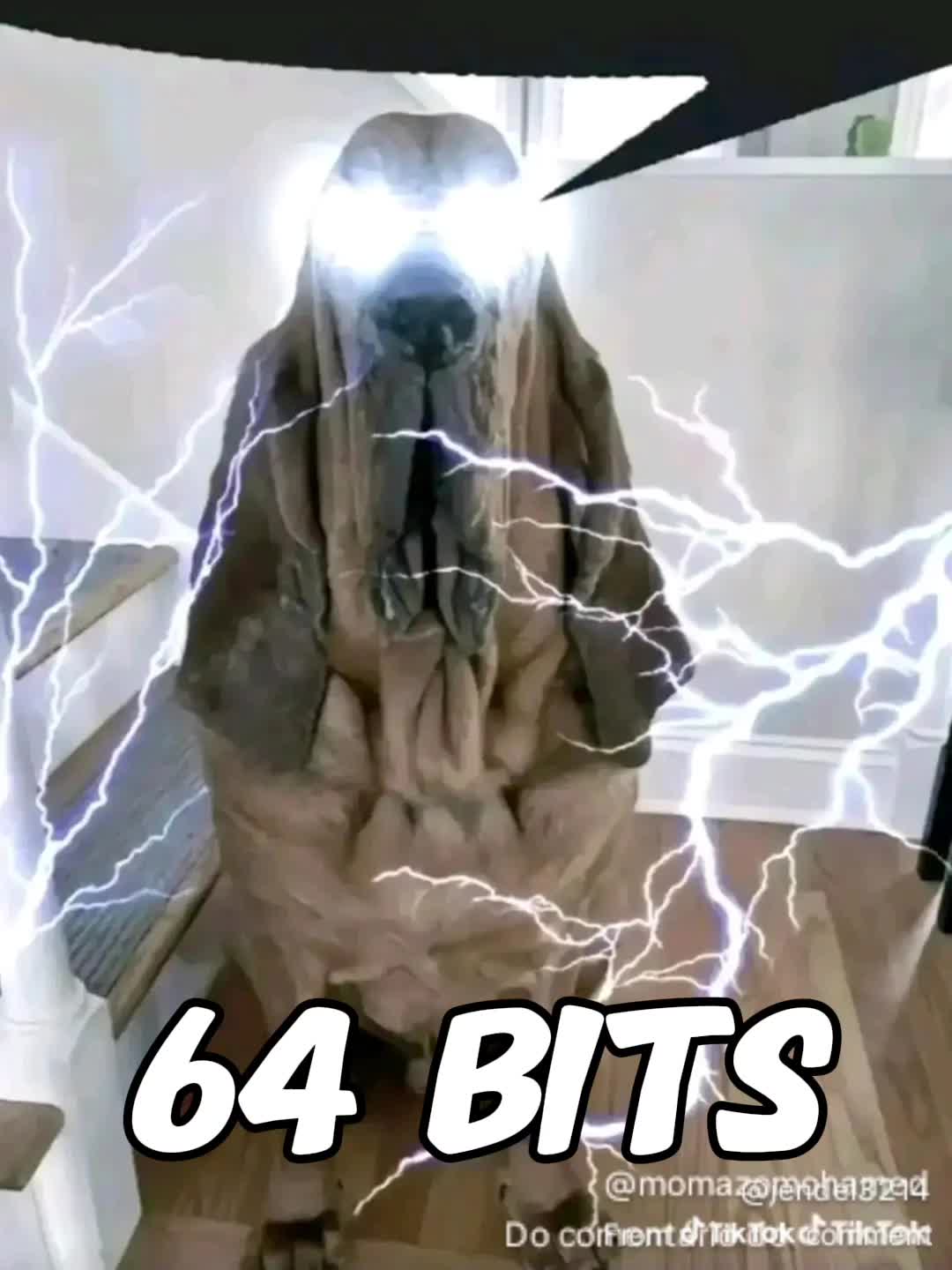 @THEBESTOFTHEBOZOS