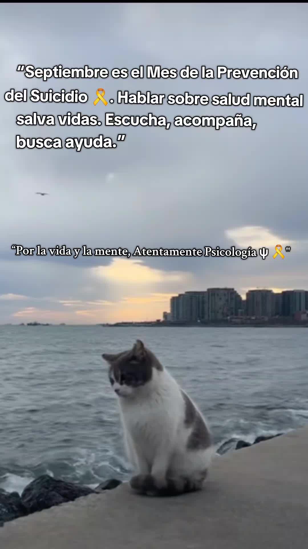 @Gabriella ✝️☦️