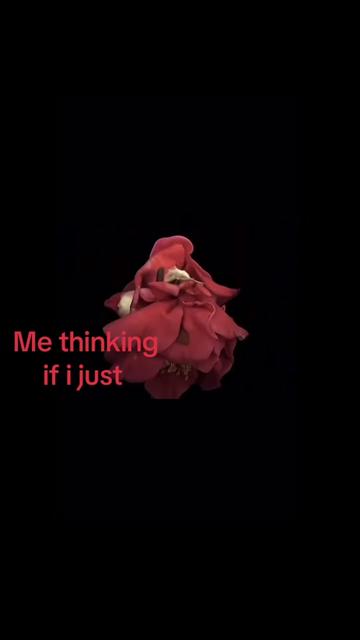 @Real_deep[🫥]