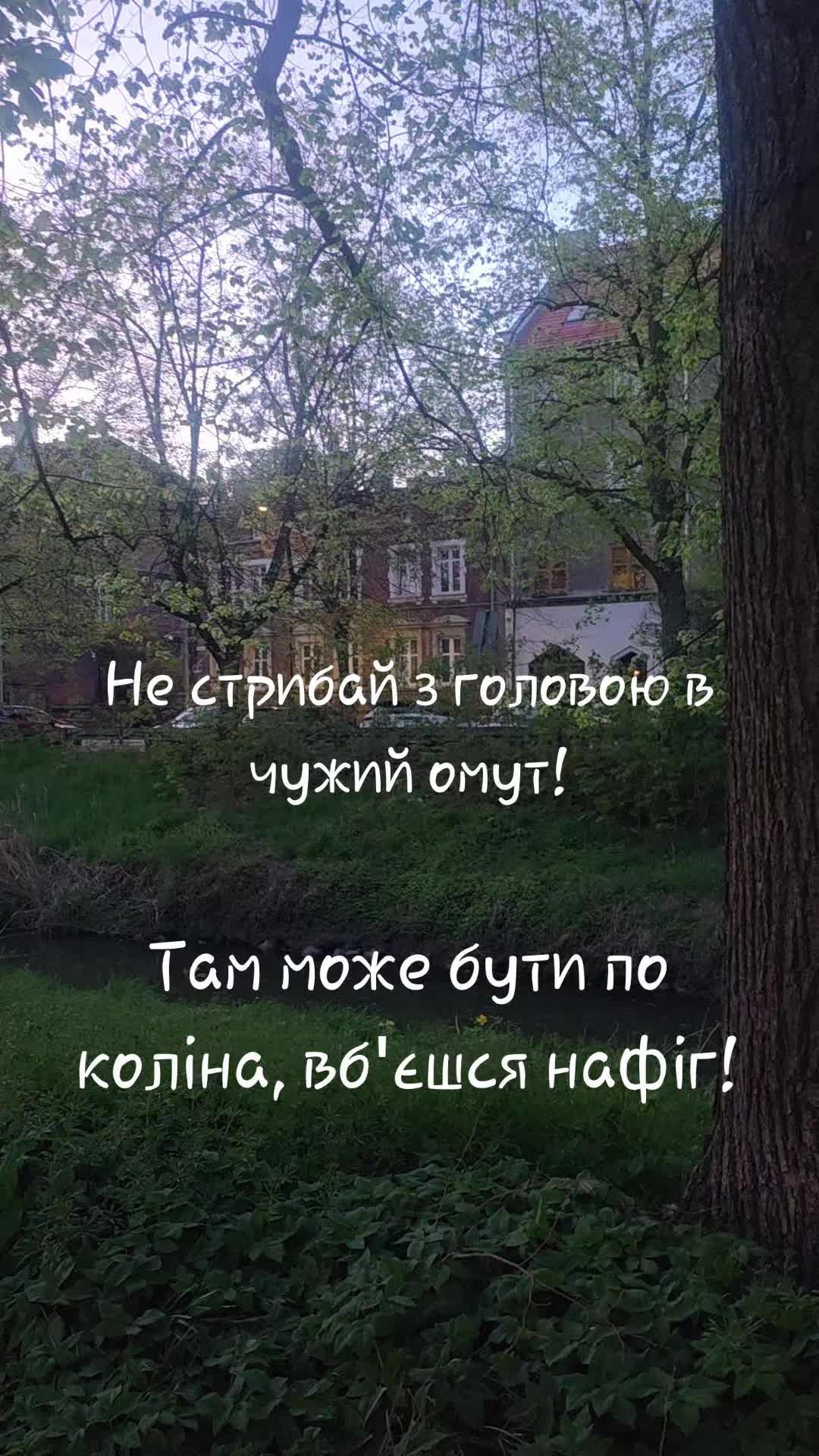 @Mila.Mila🕊️🇺🇦