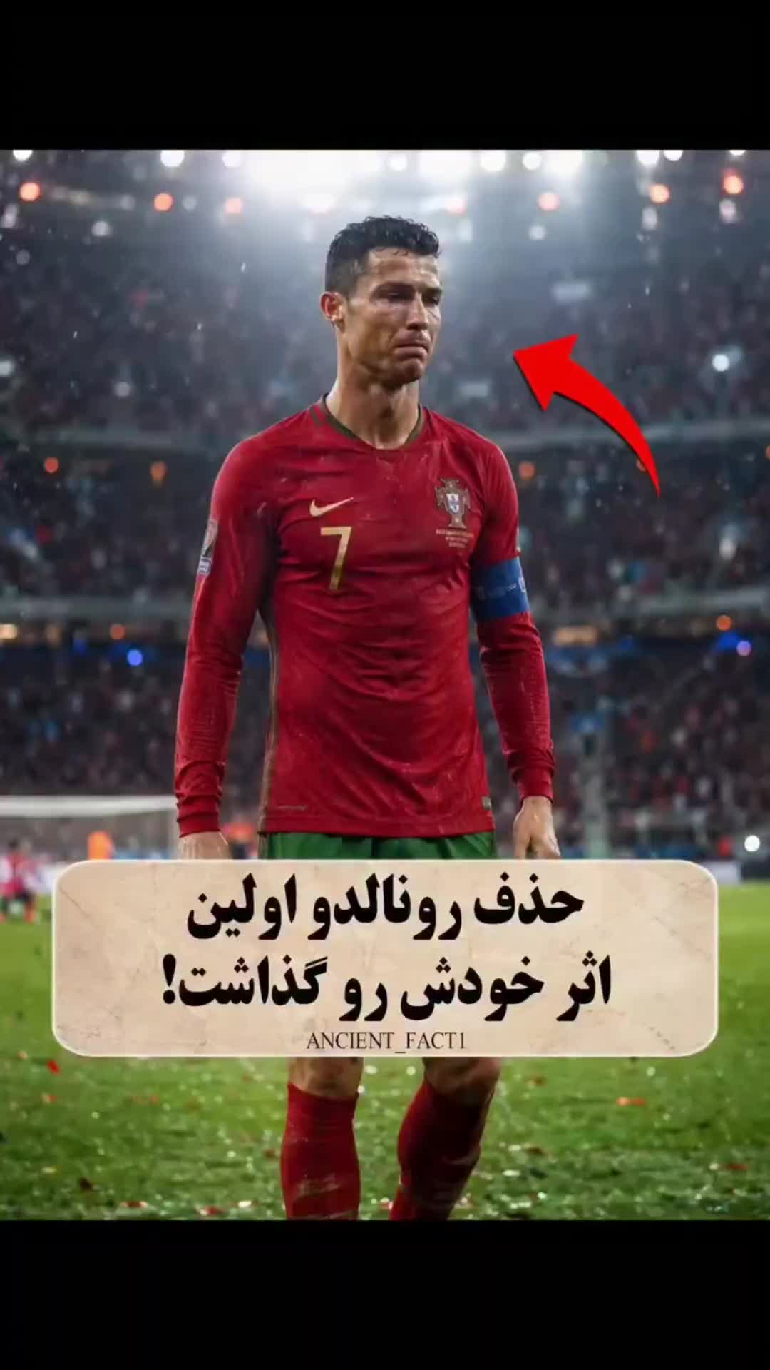 @فکت مغز