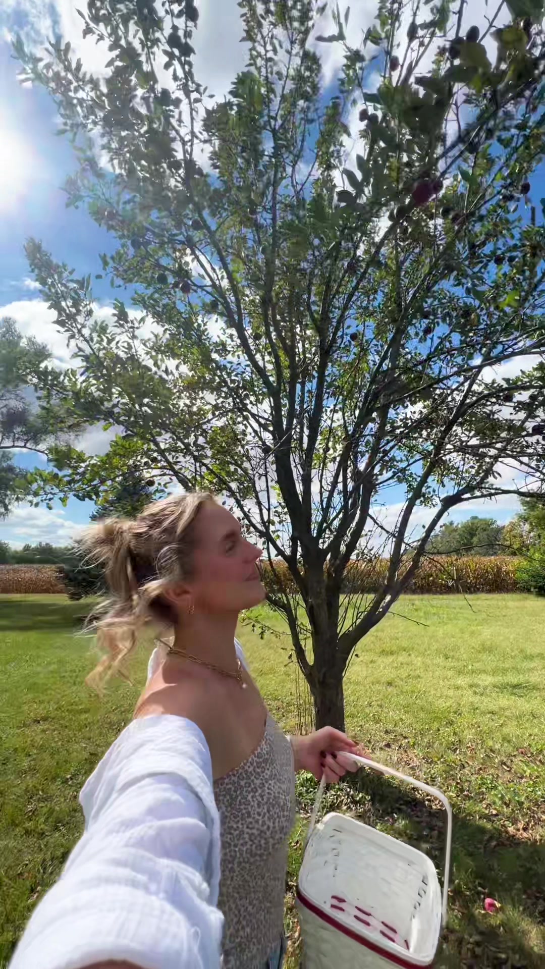@isabella.carverr