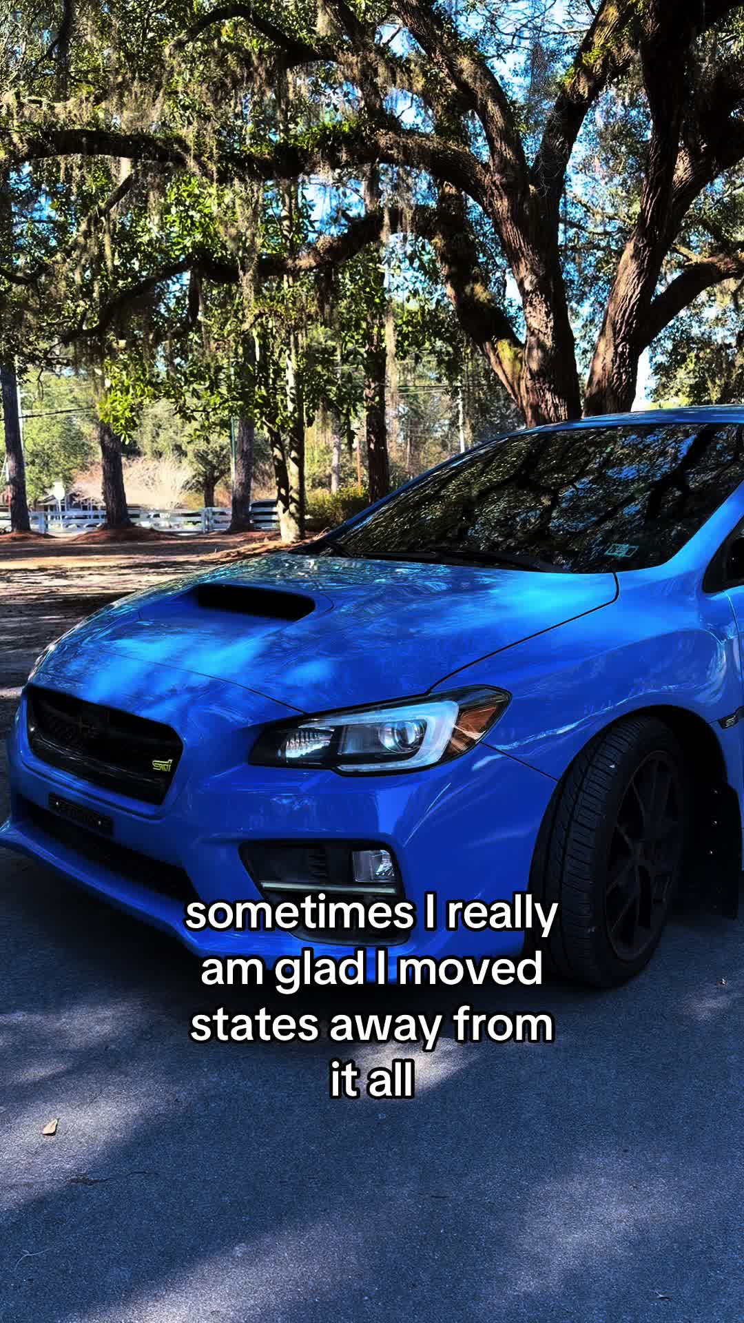 @sti_hay