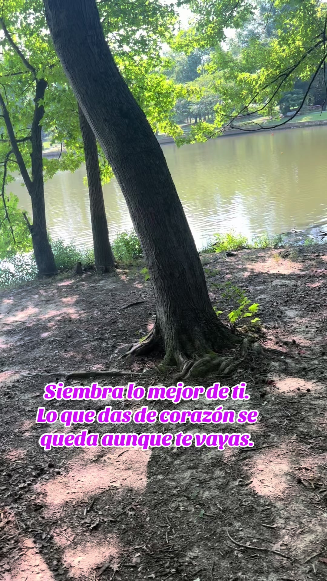 @Yany Mendez