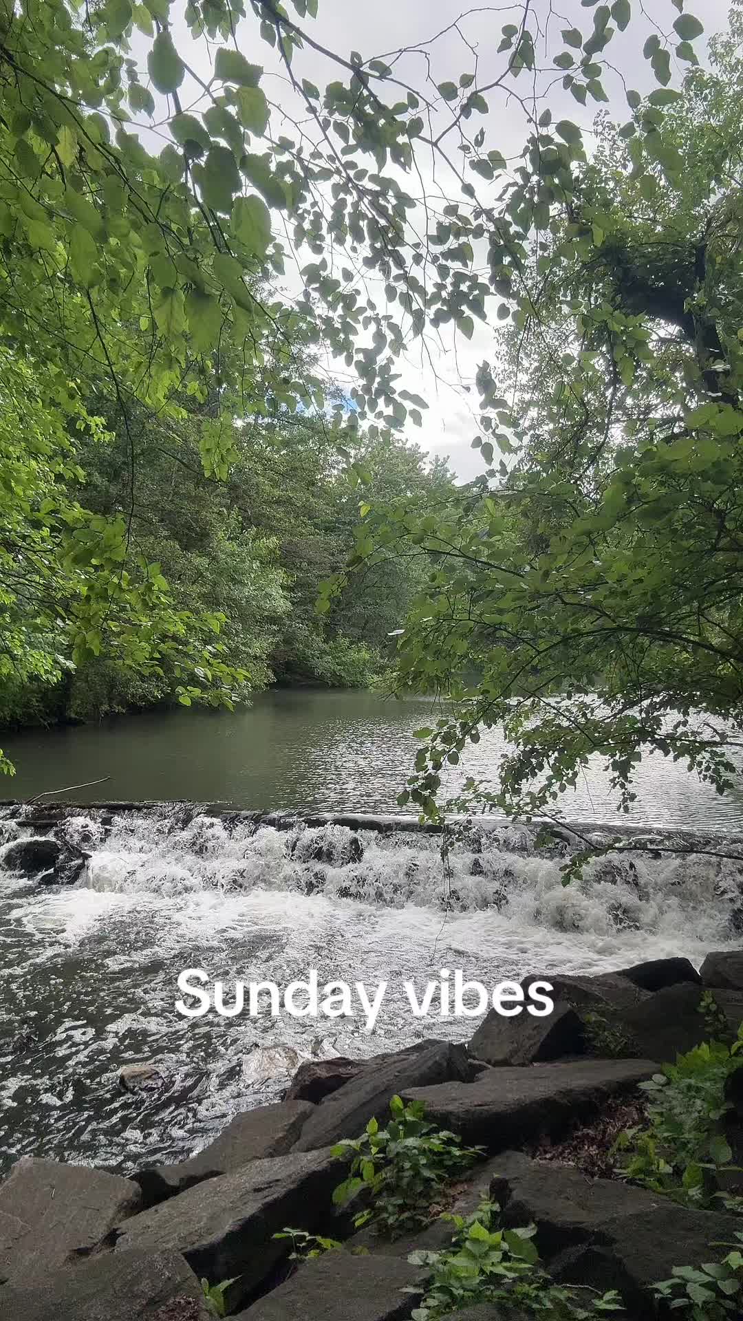 @Boricuahasthoughts💭