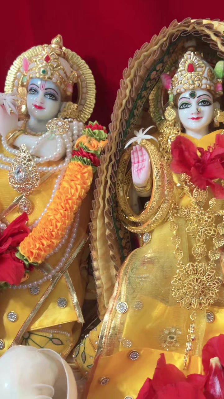 @Bhavika Gor