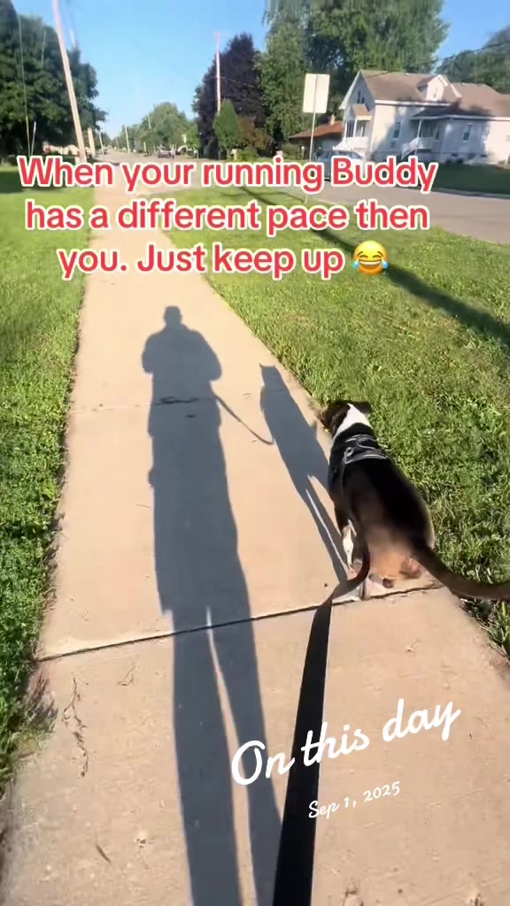 @normie1010