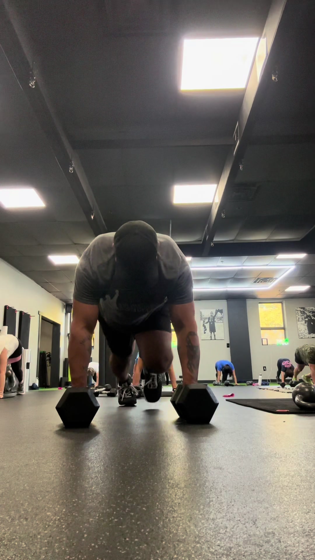 @Freddylive Fitness