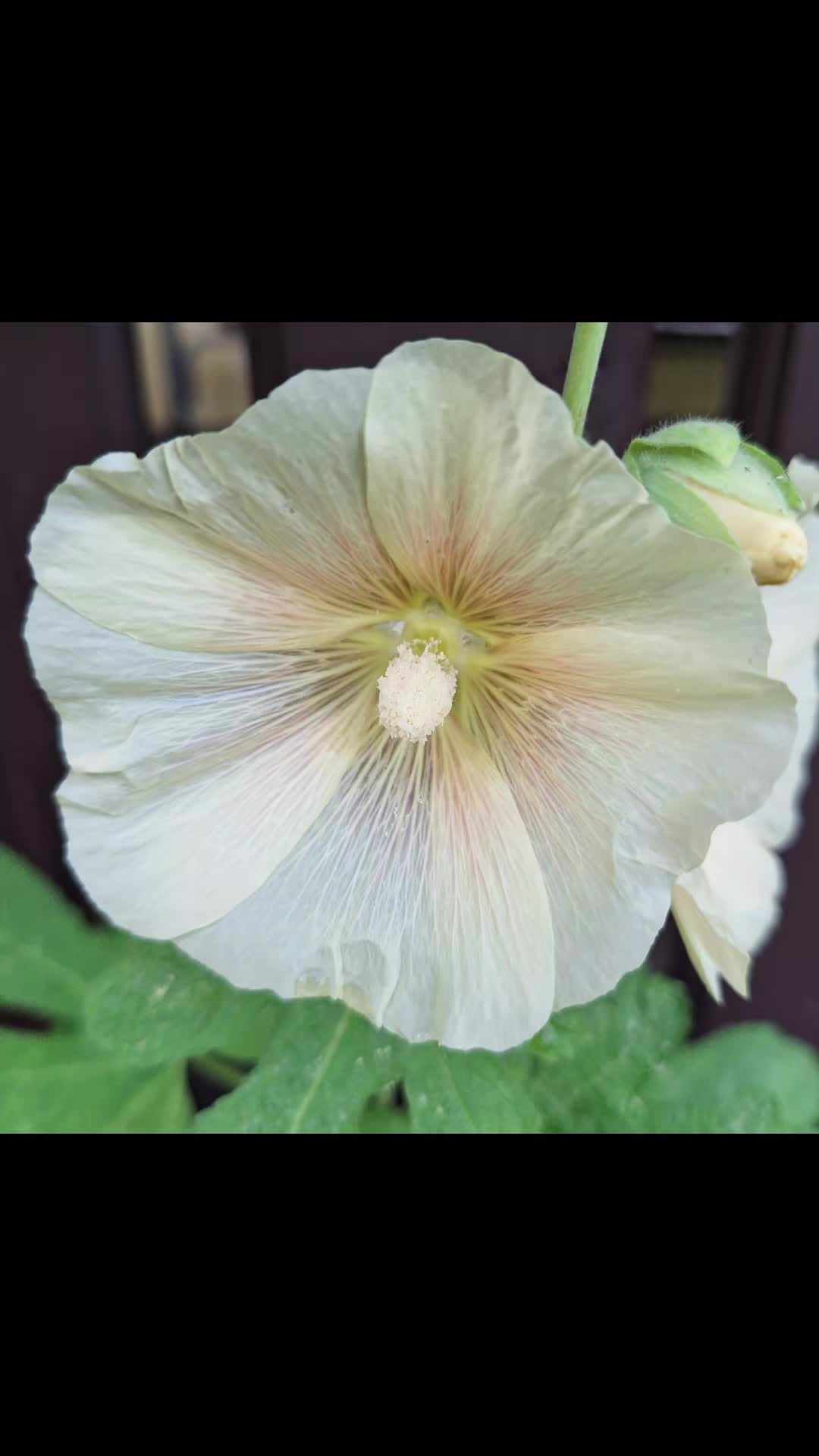 @Natur und Garten