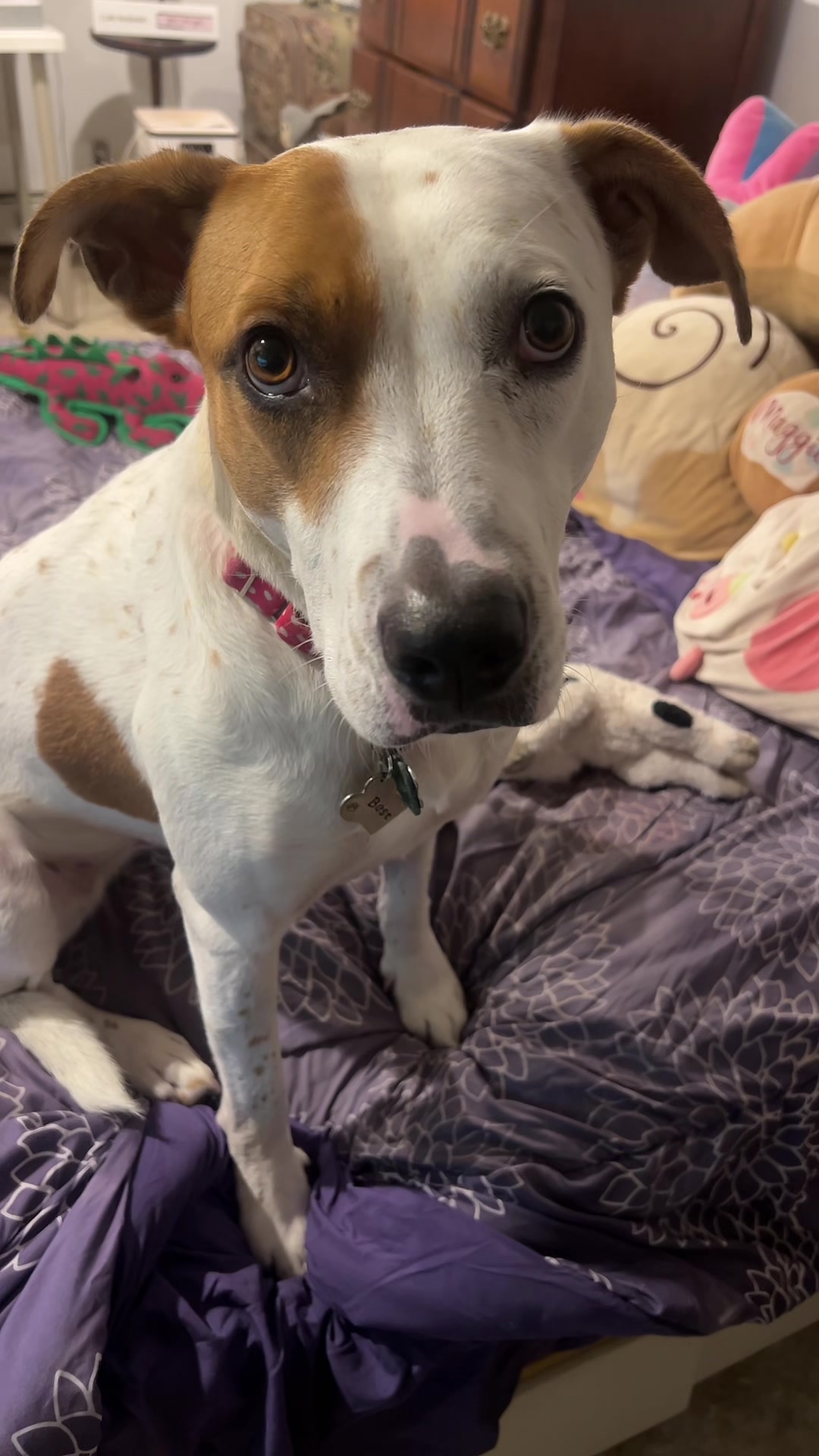 @maggieandmartha