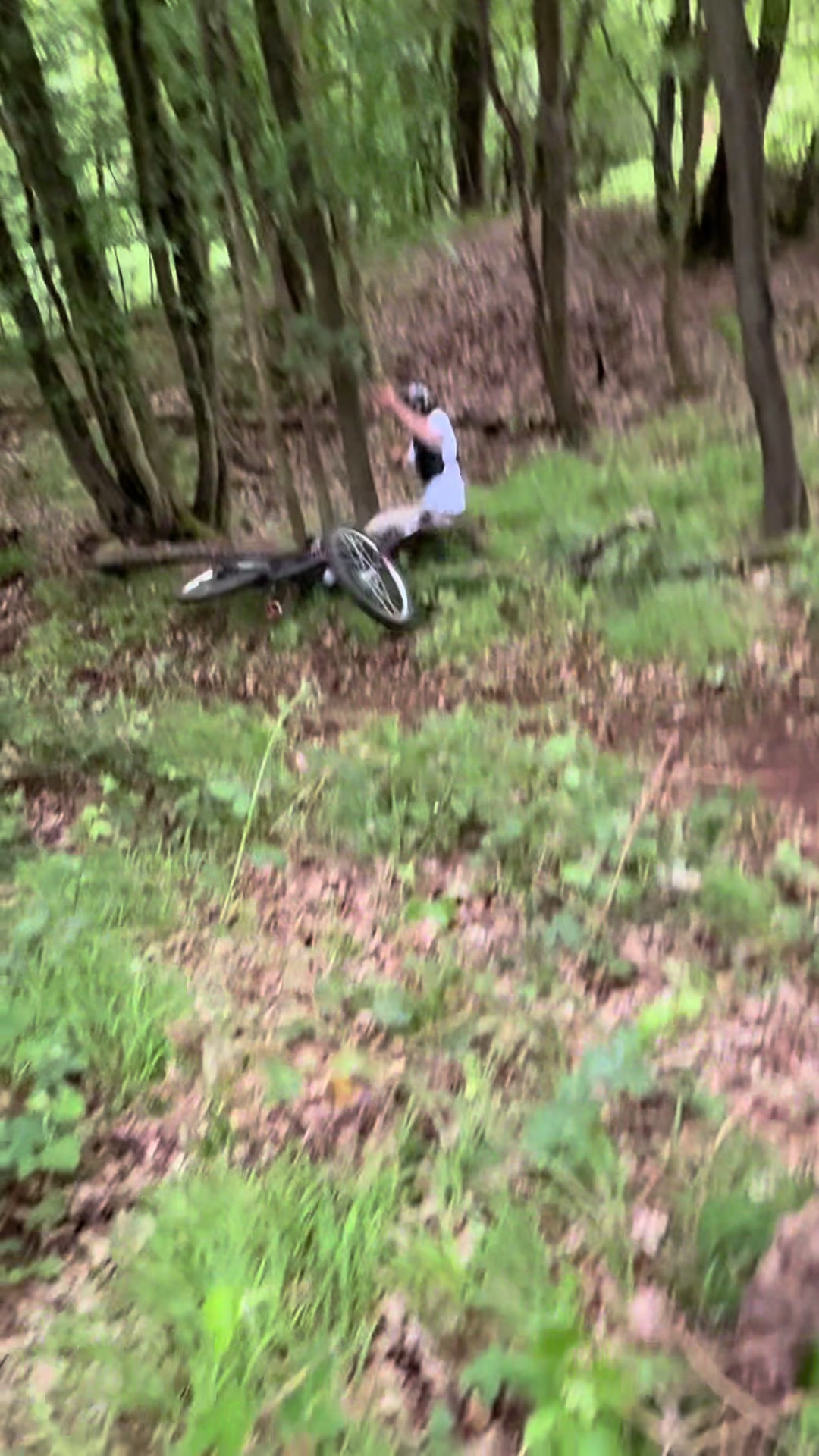 @Finn.On.Orbea