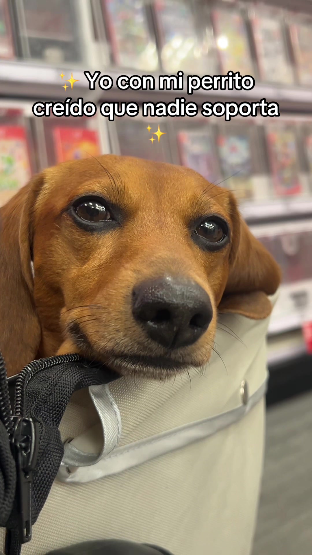 @Slinky Severus-Doo