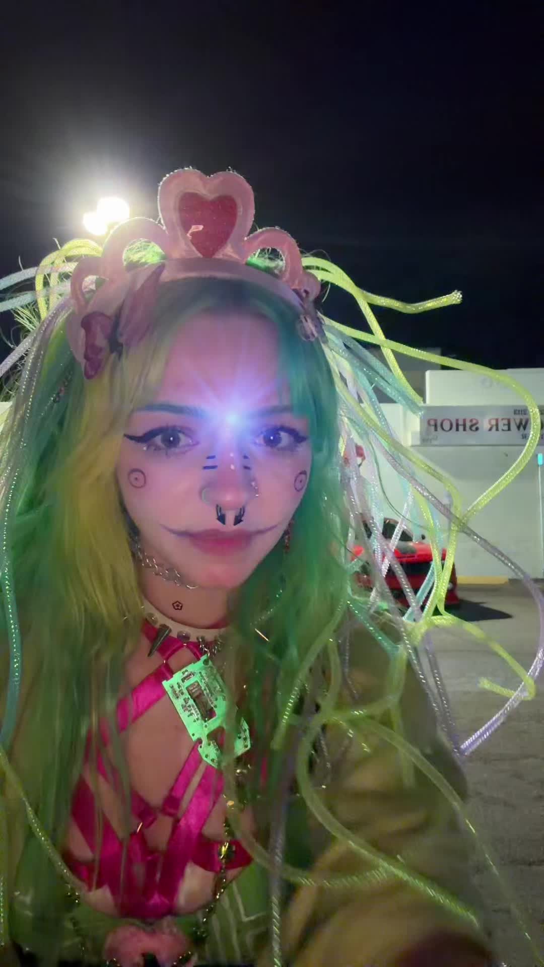 @haley ʕ•ᴥ•ʔฅ