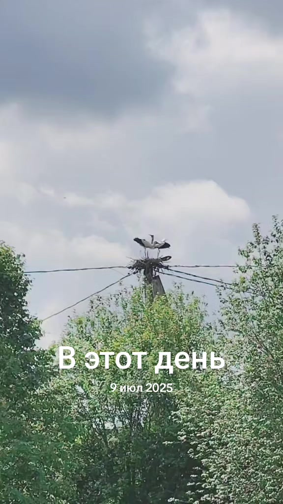 @saiman100