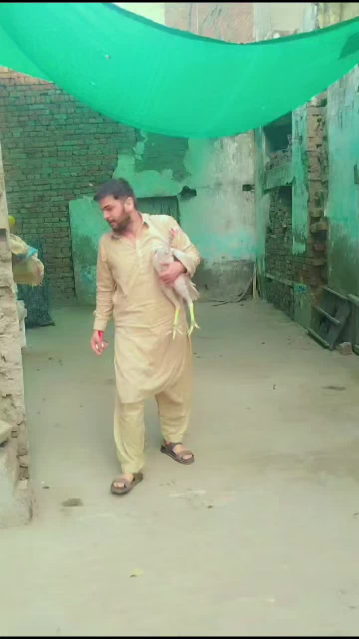 @shan Shah 222
