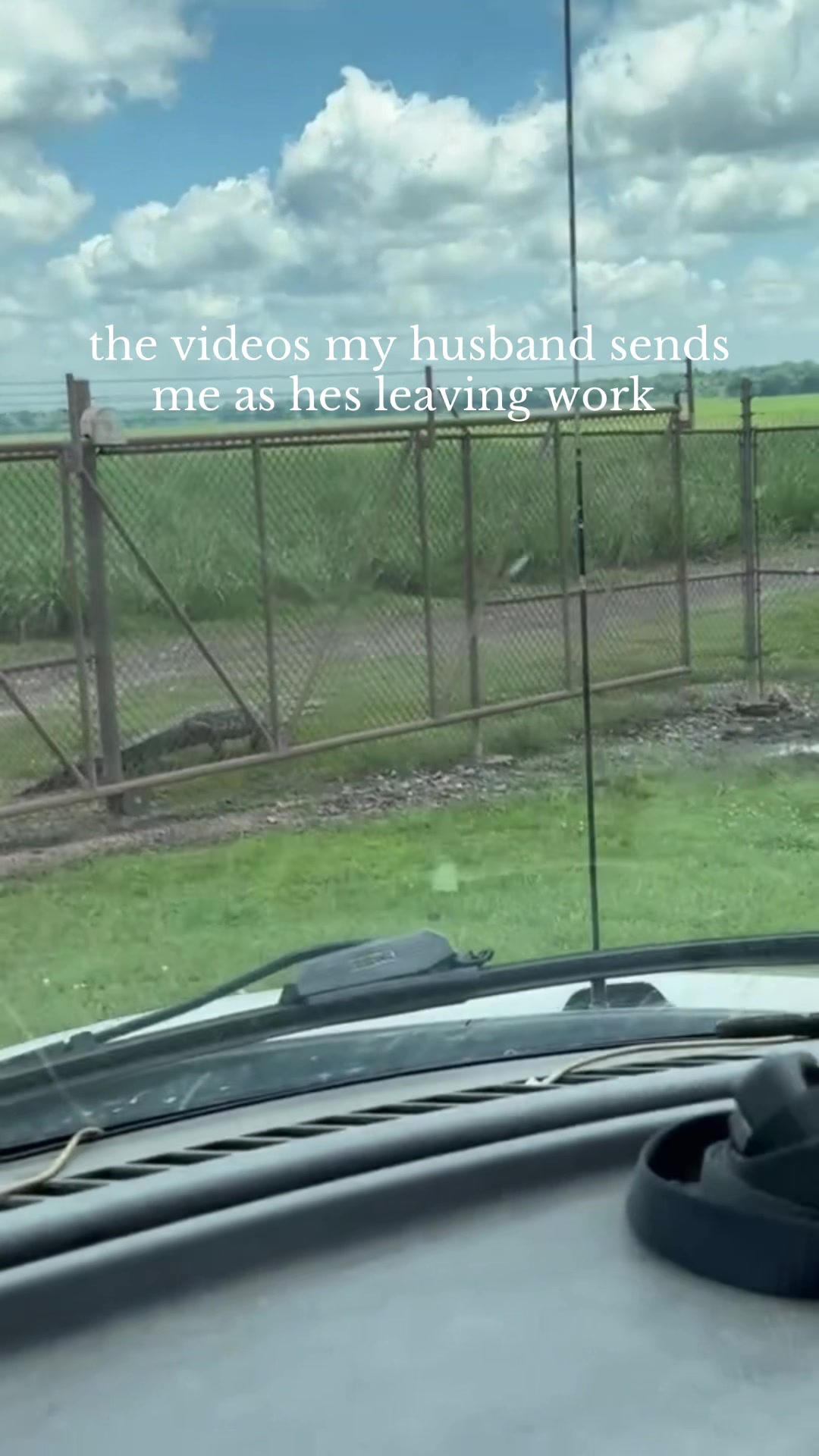 @MJ