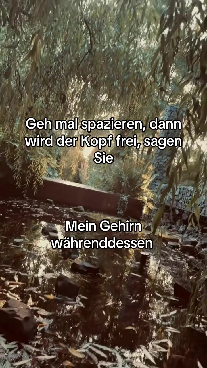@möp🦋möp