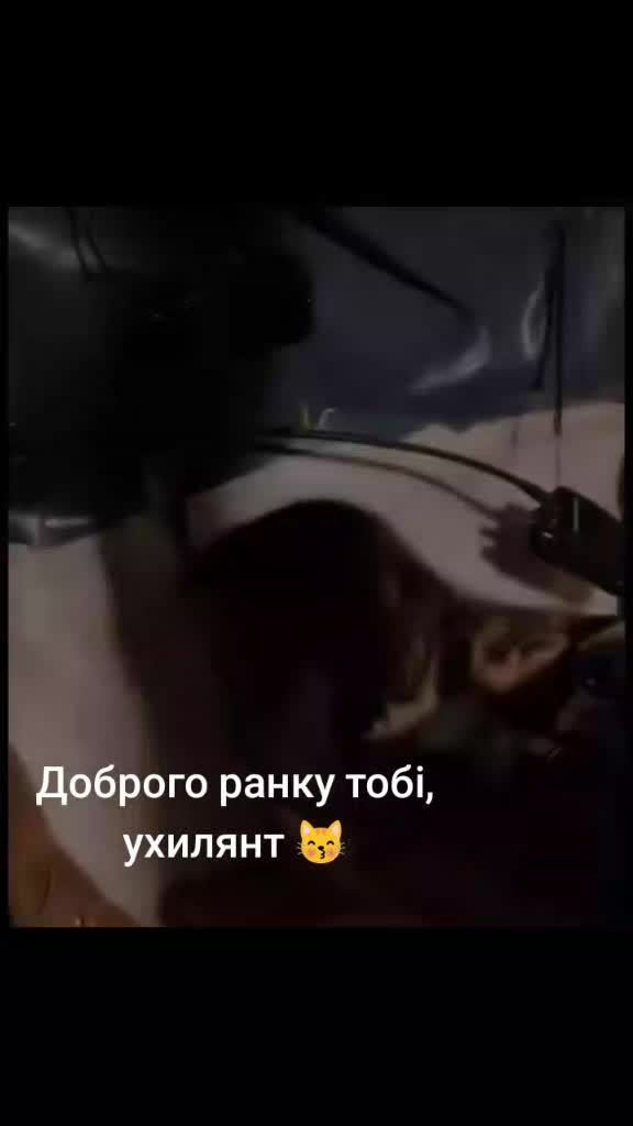 @Ledi Larisa
