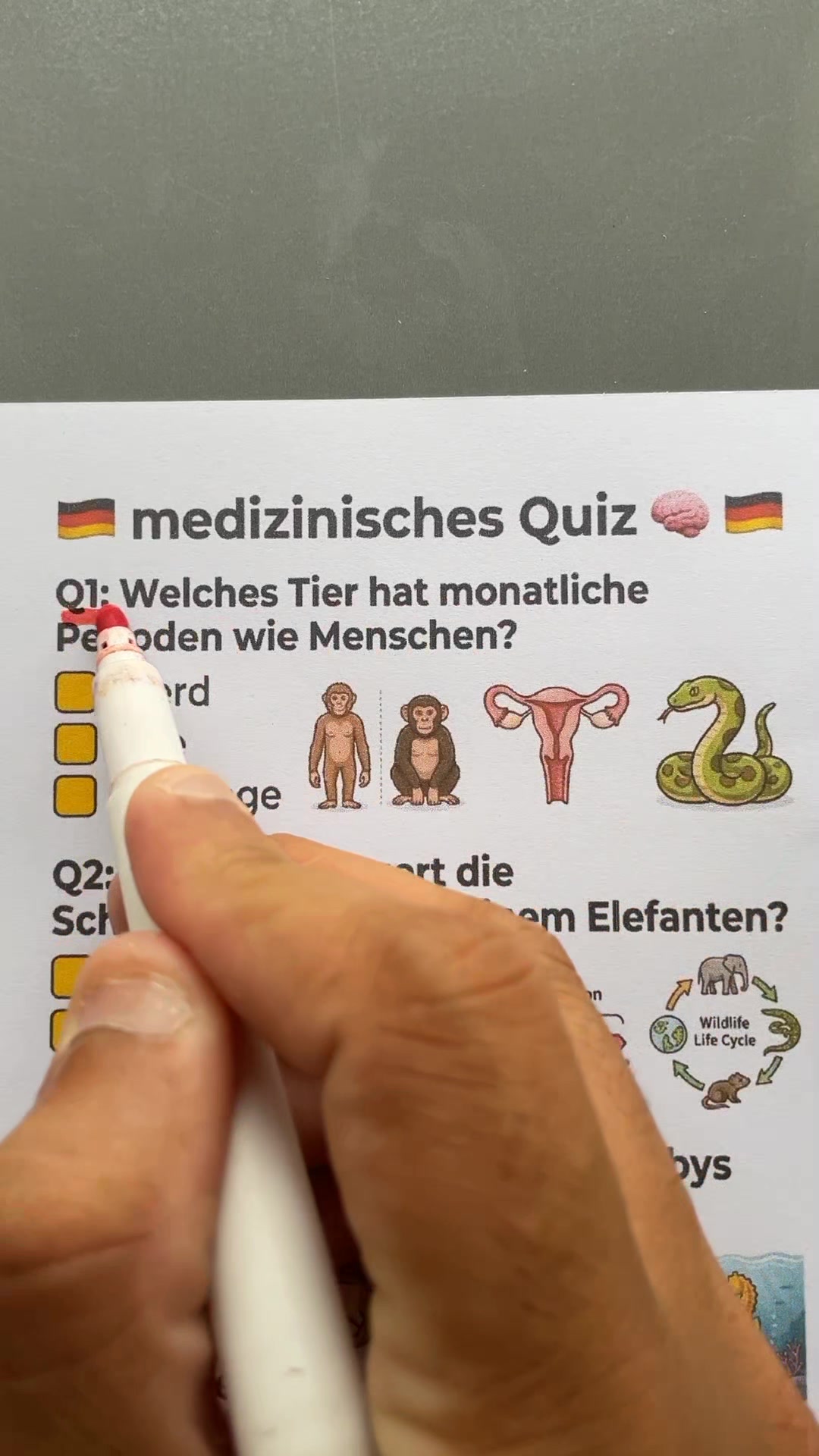 @DailyQuizMaster