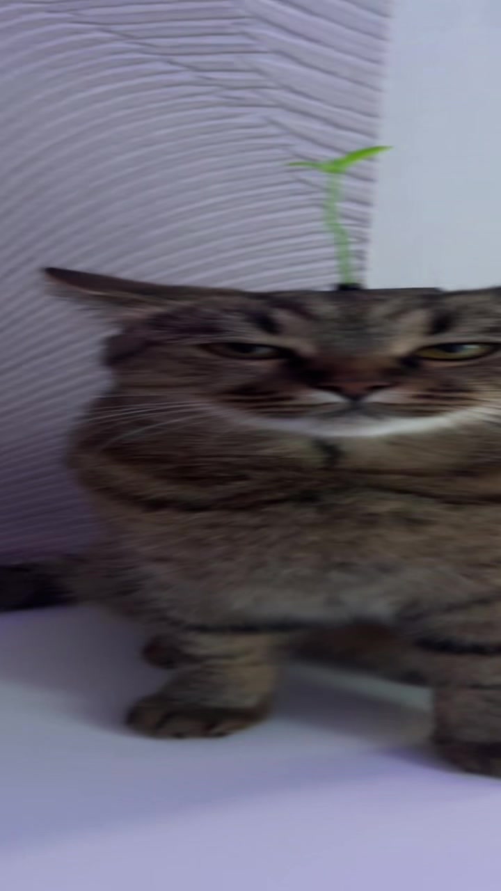 @еу