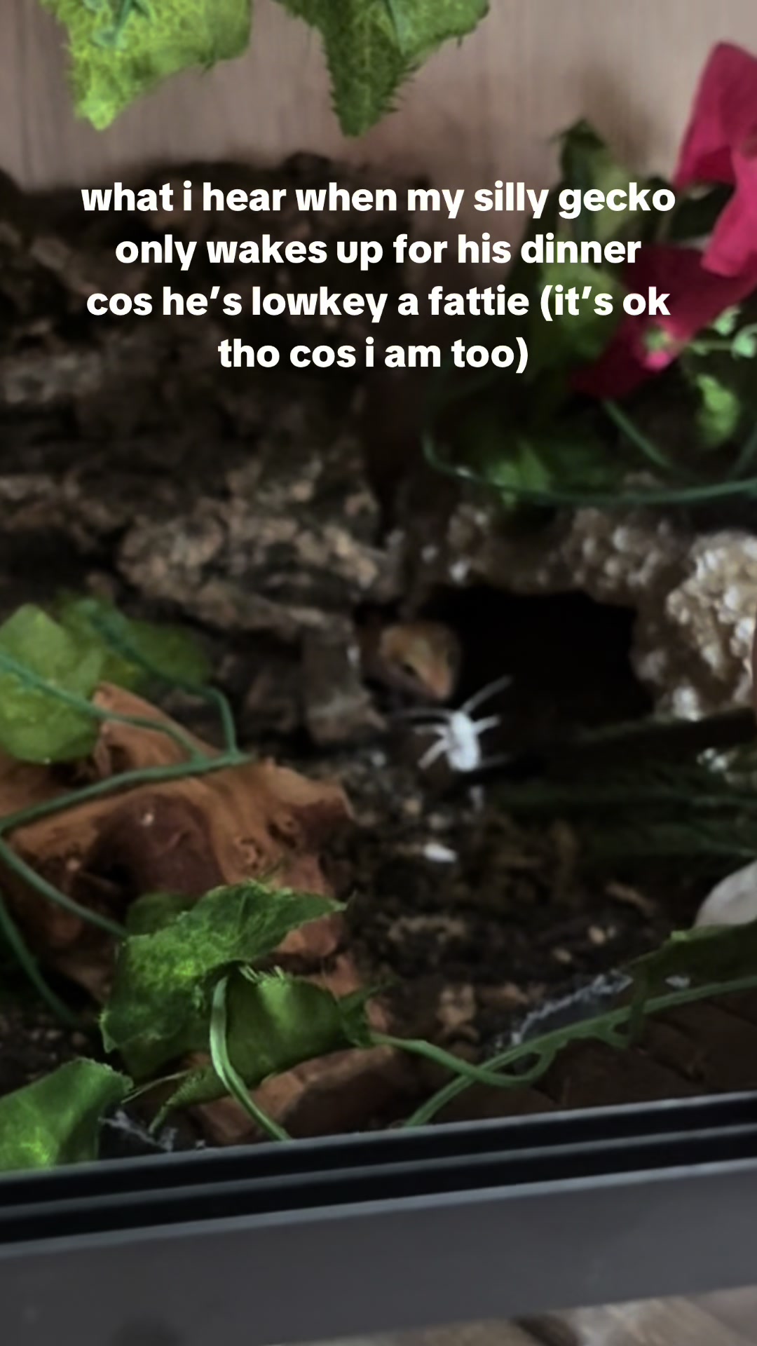 @scrummysalami
