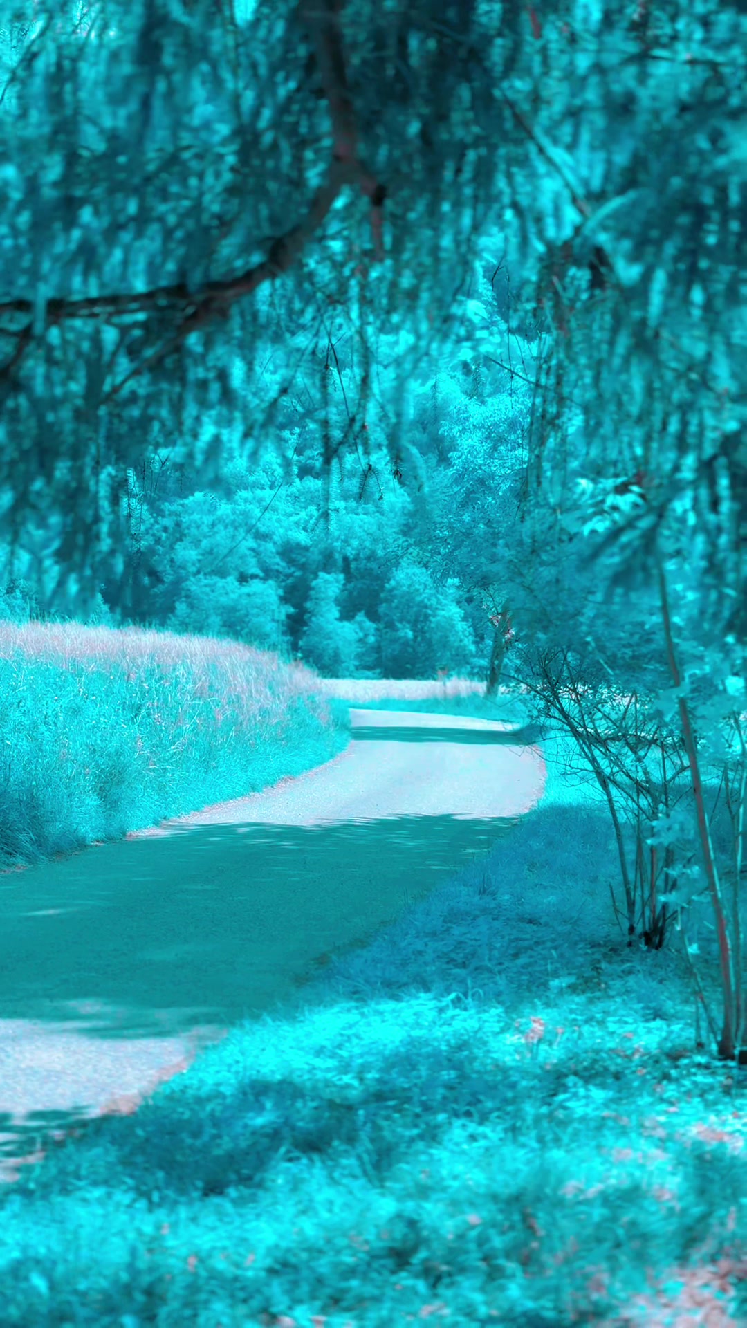 @𝕯𝖊𝖗𝕭𝖚𝖋𝖆𝖍𝖗𝖊𝖗𝕯𝖔𝖓