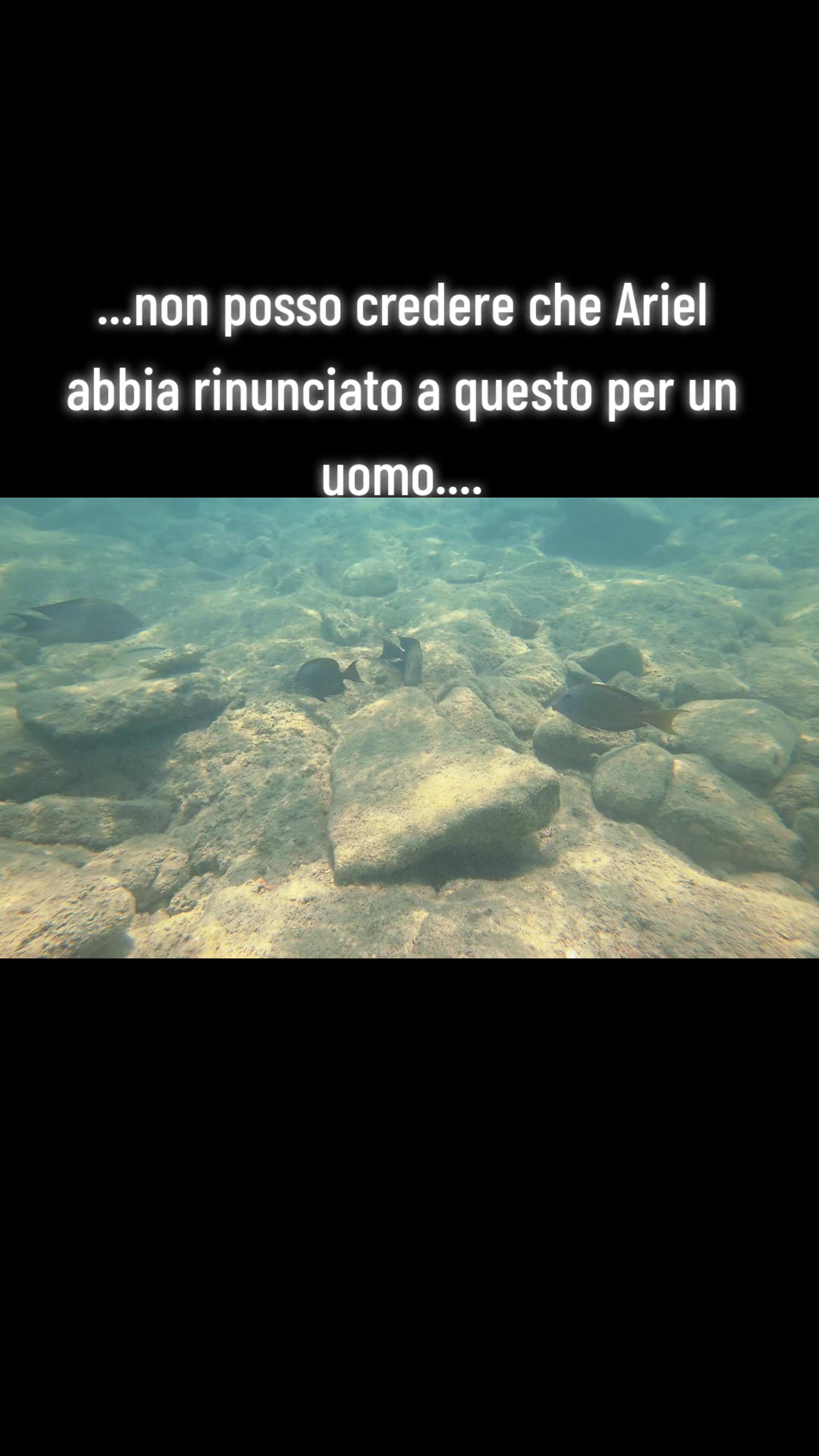 @𝑺𝒐𝒇𝒉𝒊𝒂