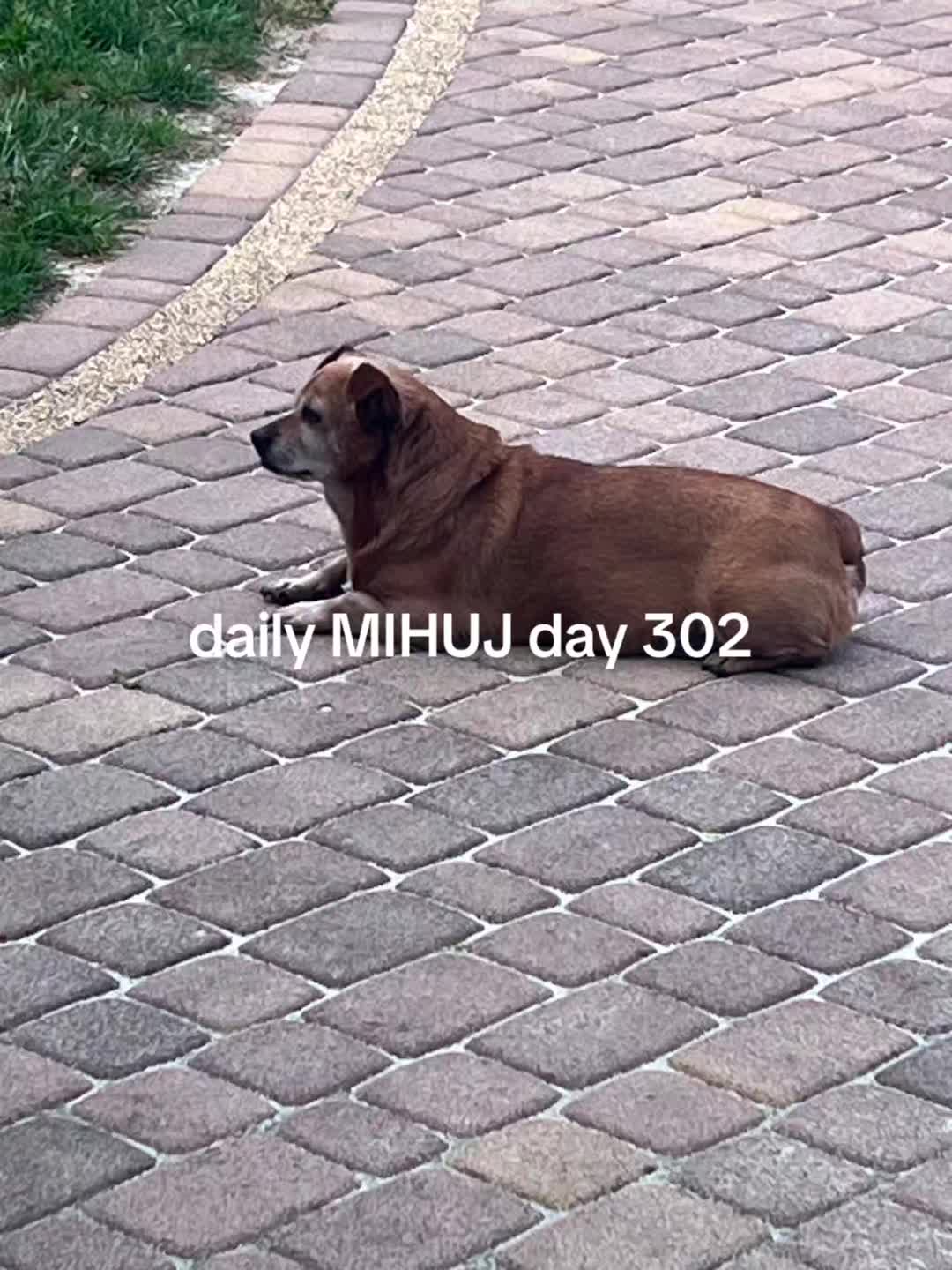 @kys