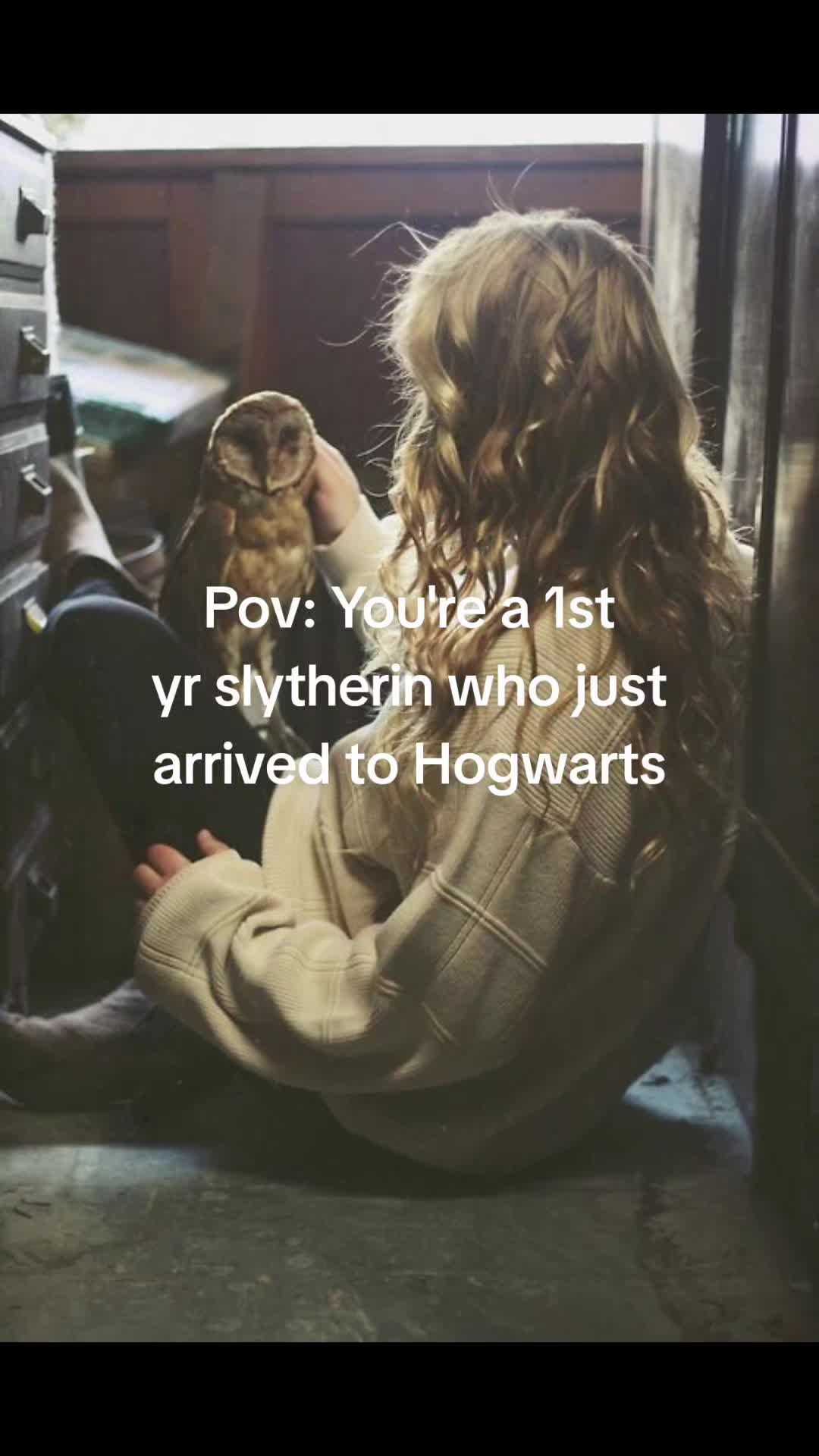 @🦅🌌Your fellow ravenclaw🌌🦅