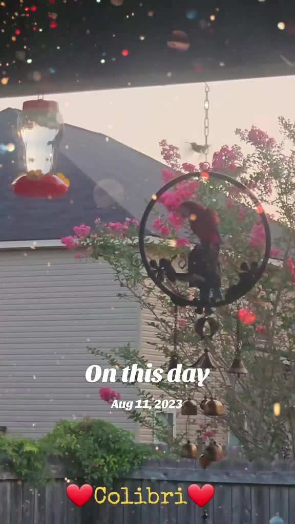 @🦋🇵🇷Mom of Parrots🇵🇷🦋