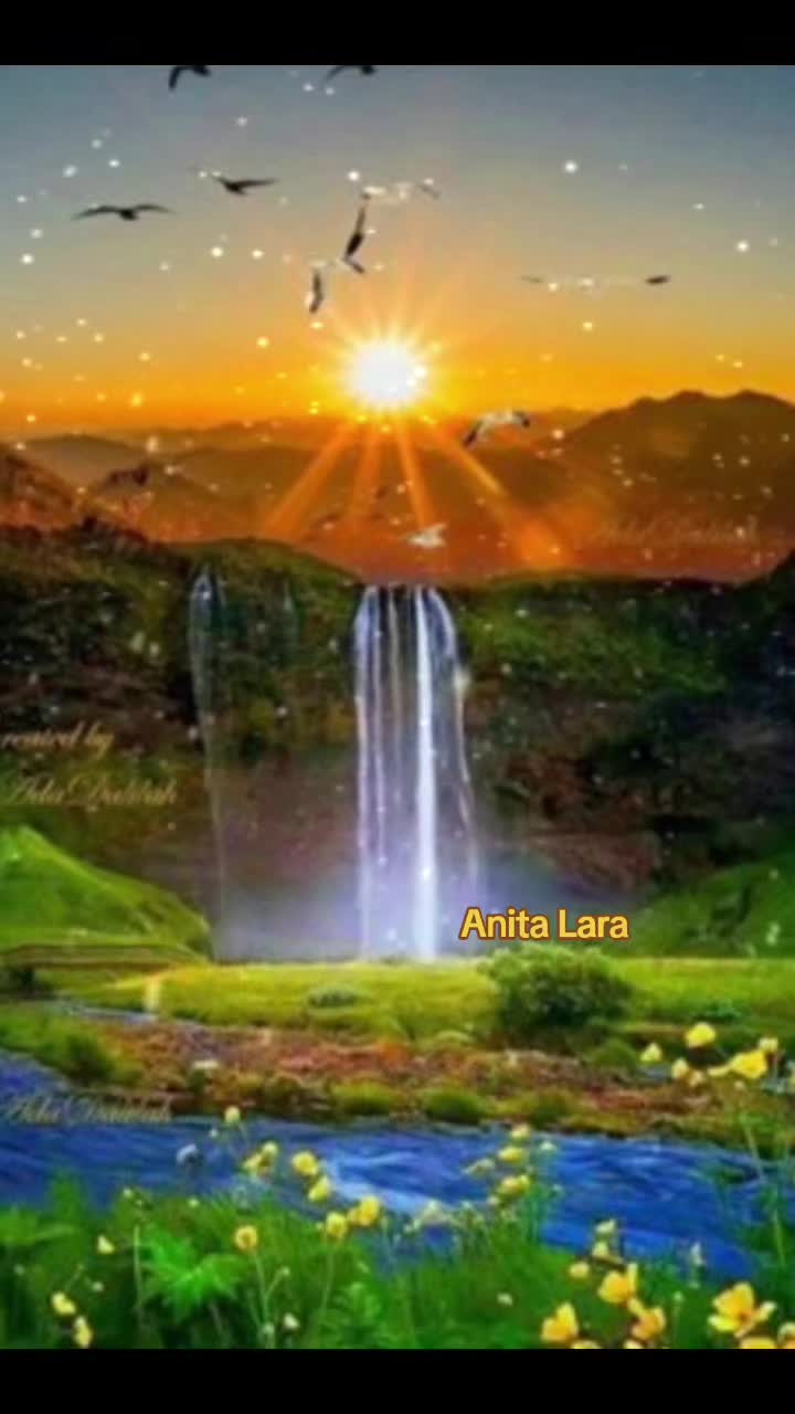 @Anita Lara
