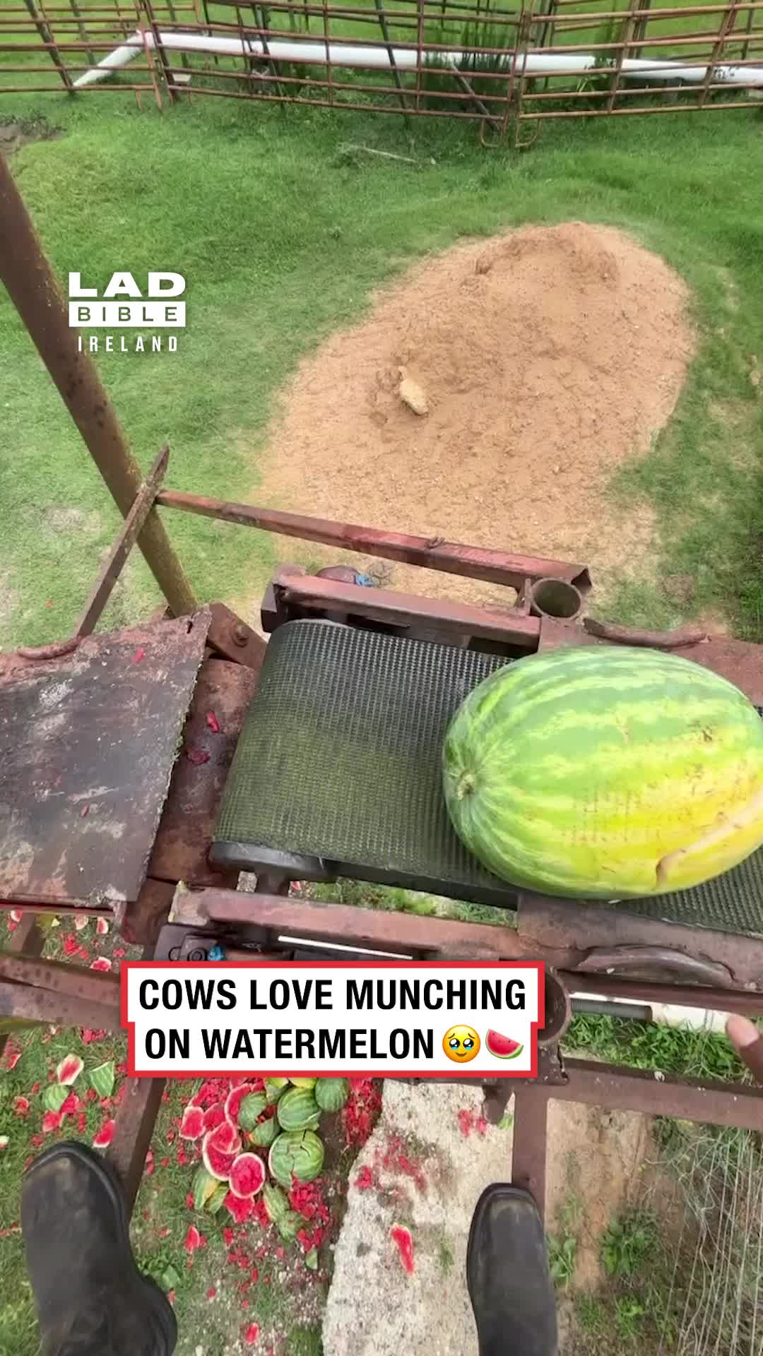 @LADbible Ireland