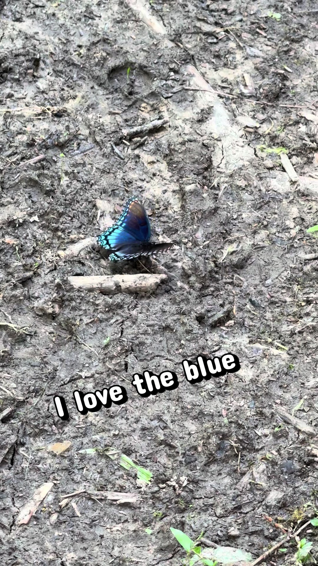 @Cappy1000000