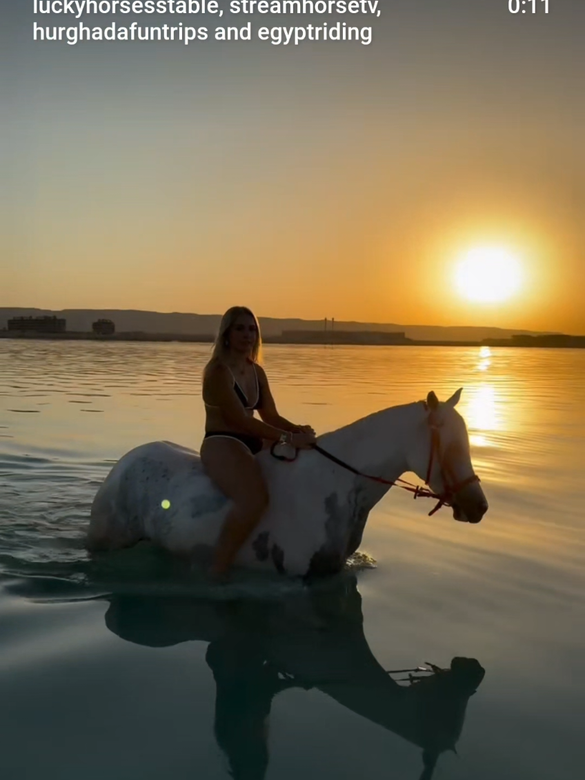 @streamhorse
