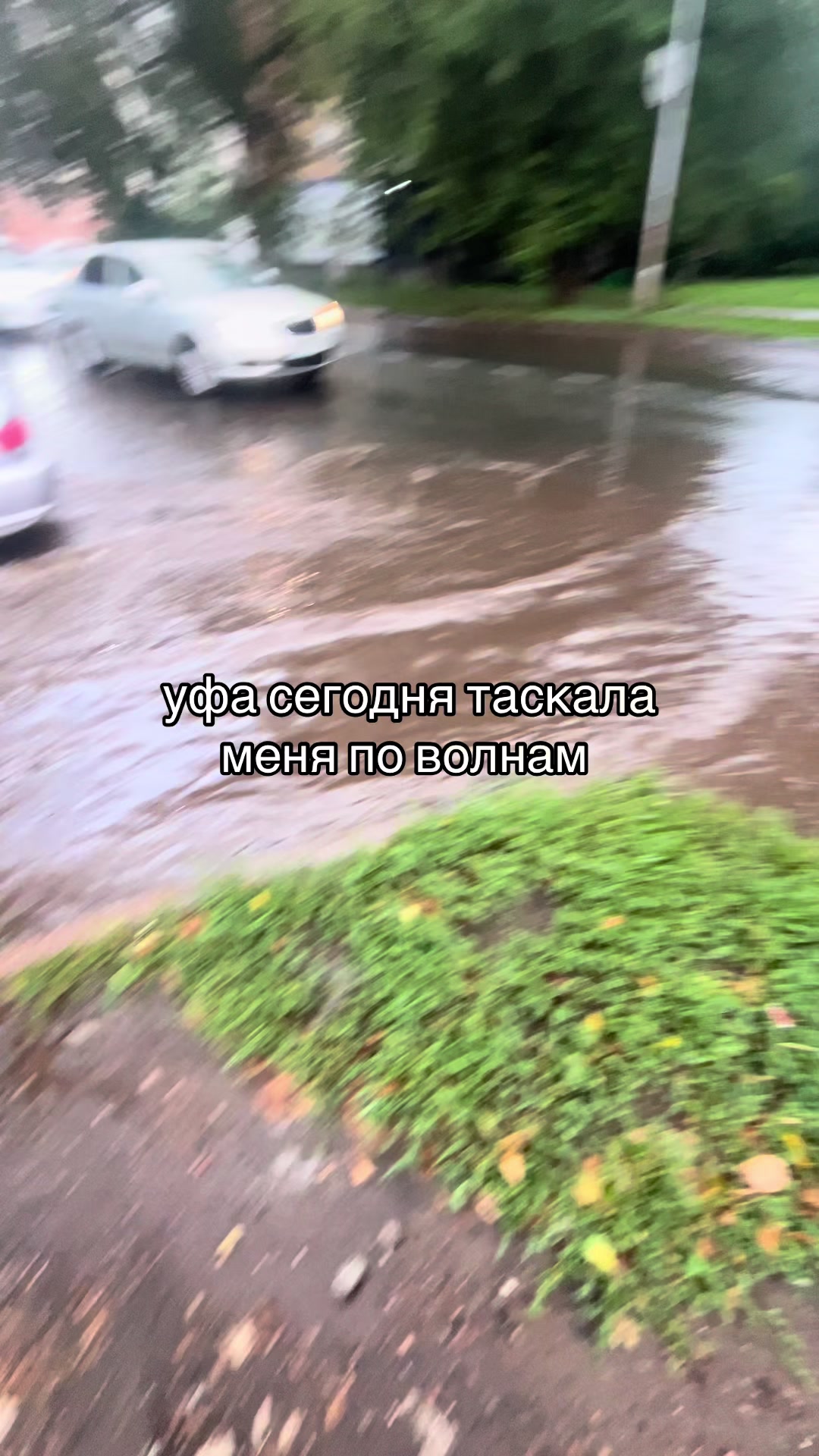 @hinarri