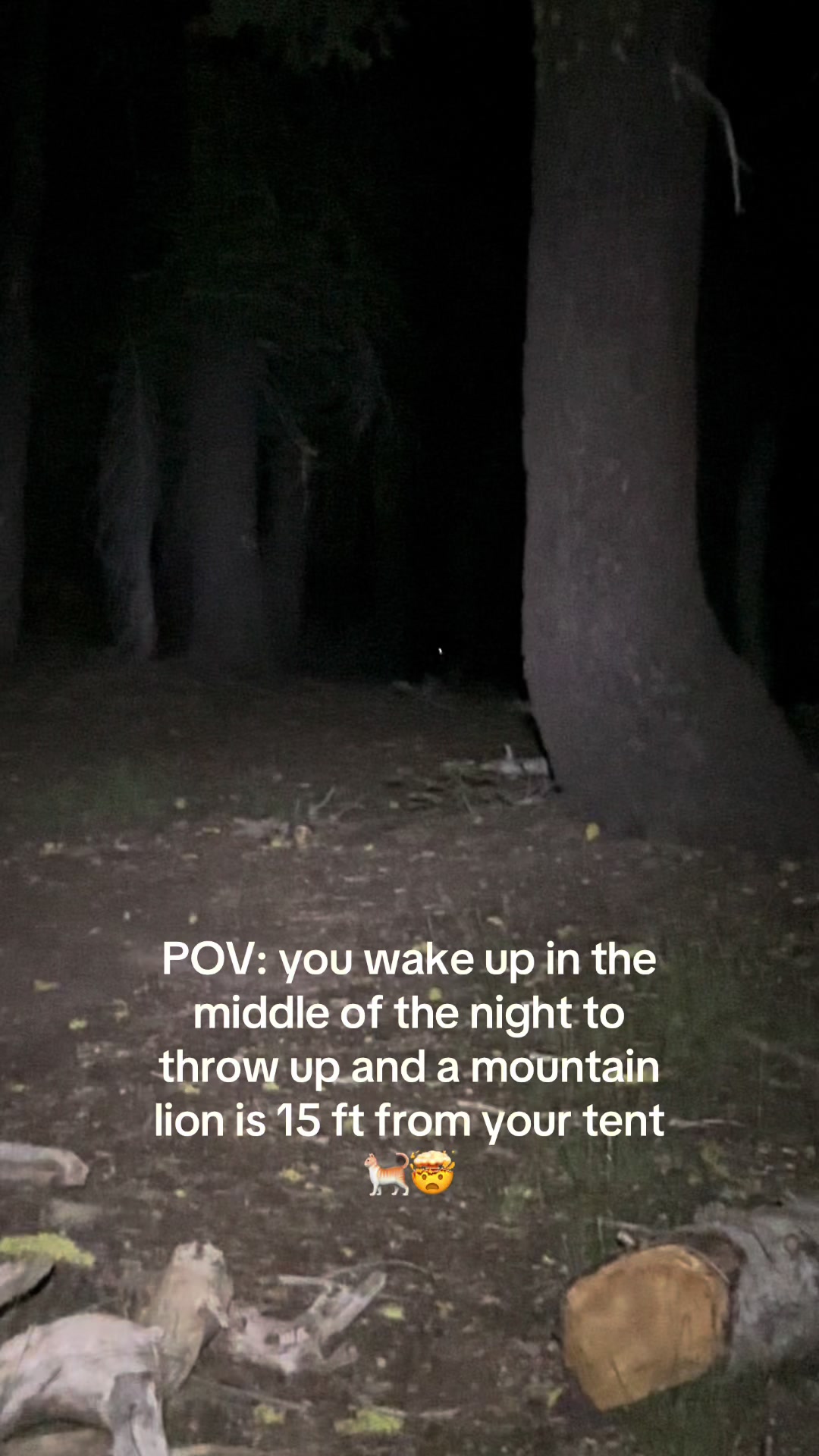 @hiking_heather44 🌻