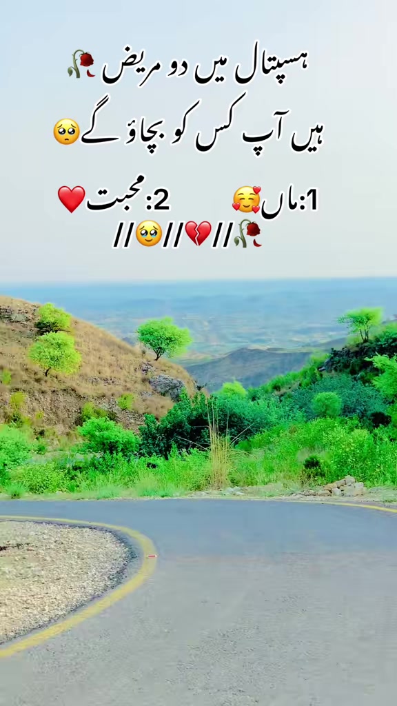 @محترمہ 🍁