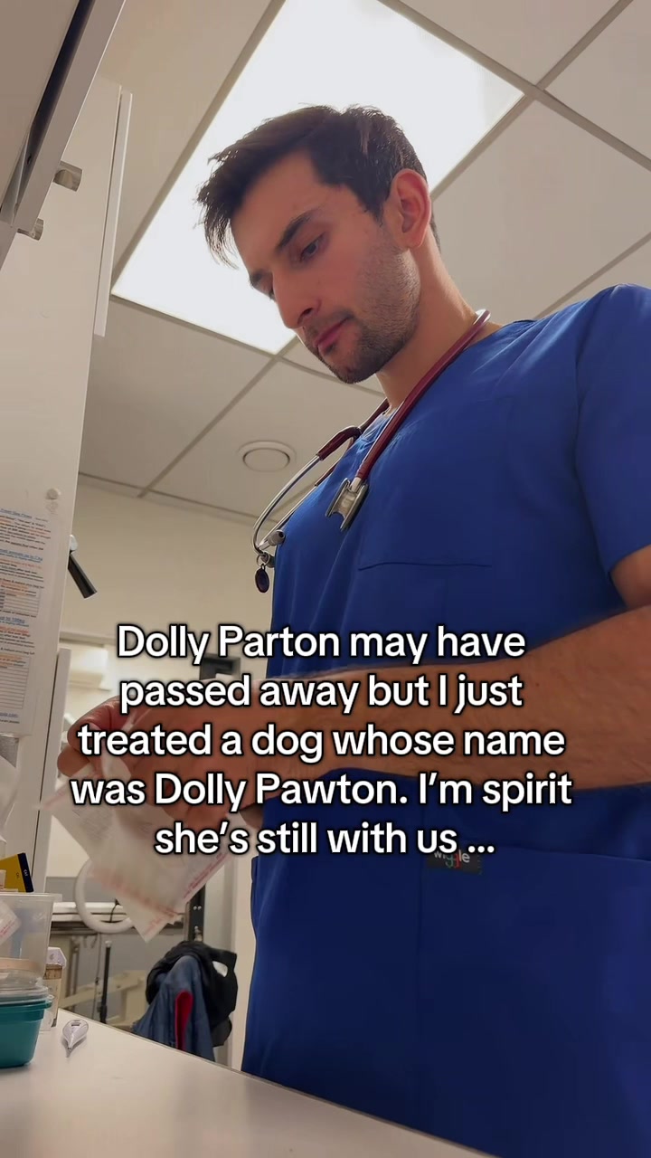 @Amir the vet