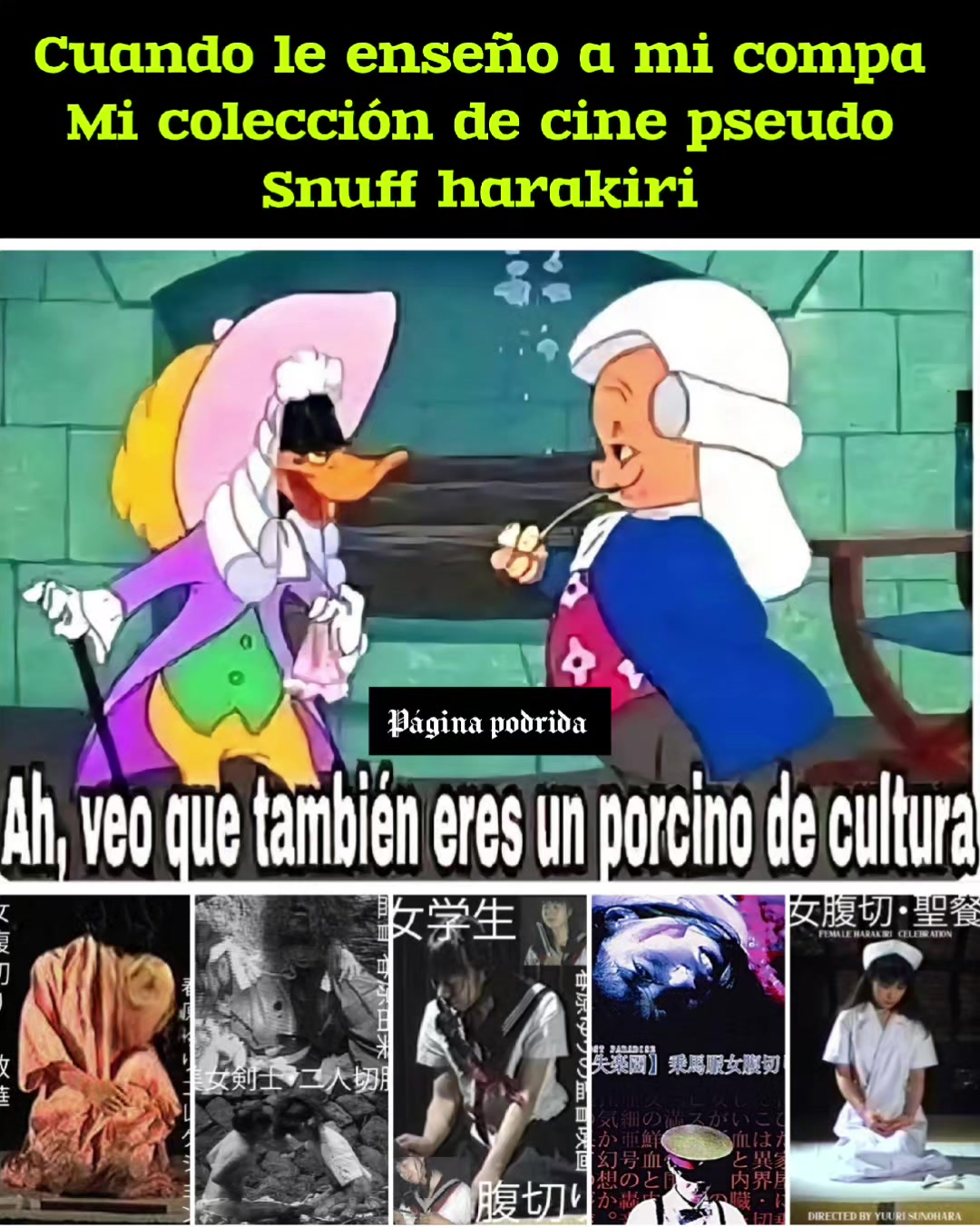 @p&aacute;gina podrida