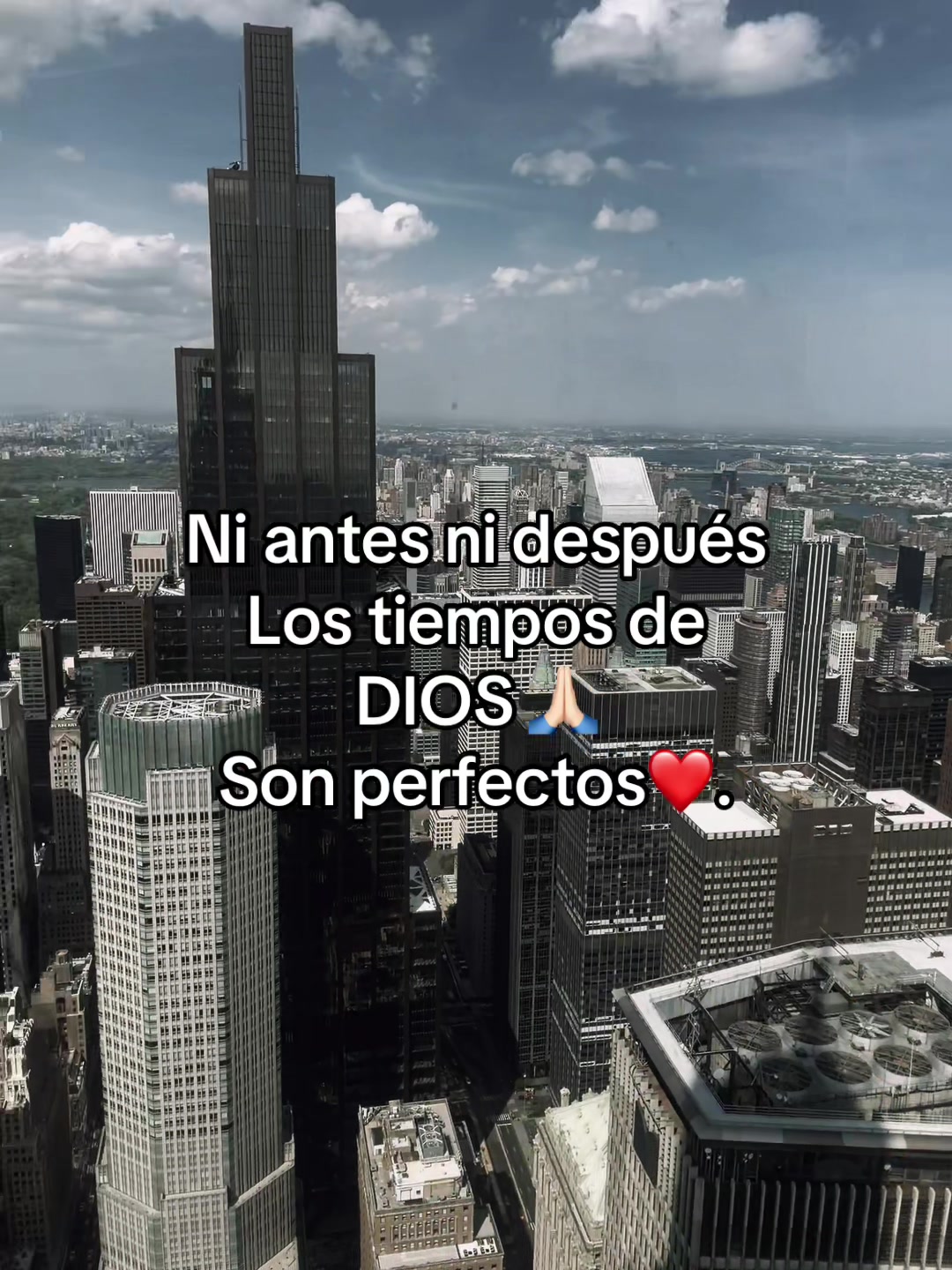 @TORO M/S